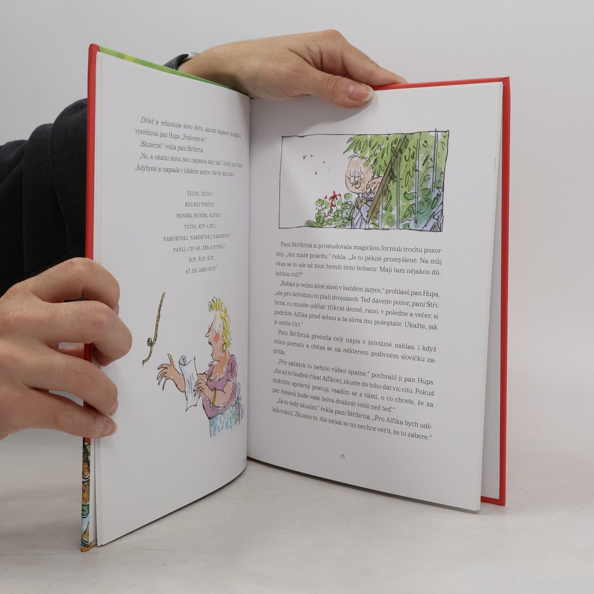 Roald Dahl Avlež Kífla