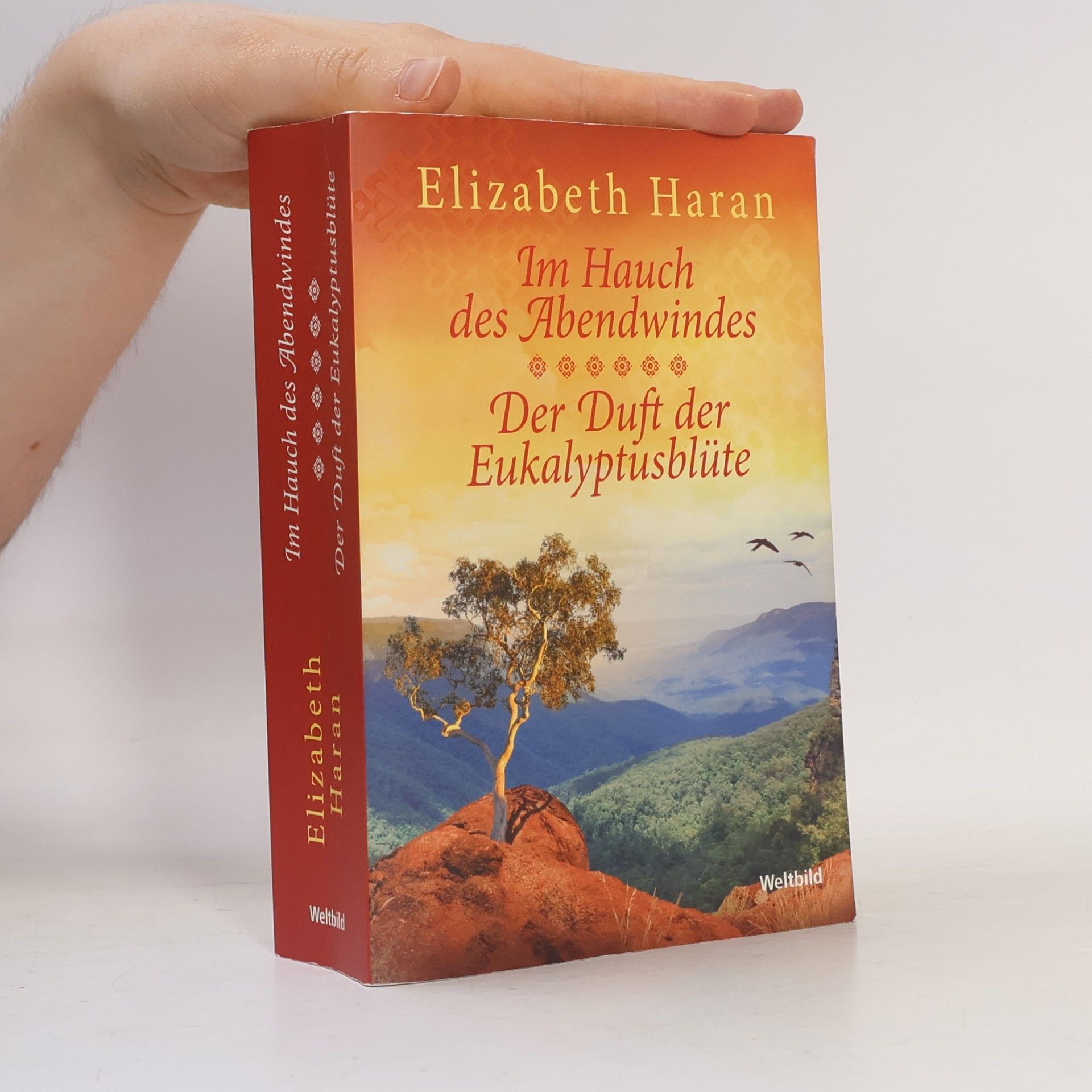 Elizabeth Haran Im Hauch des Abendwindes