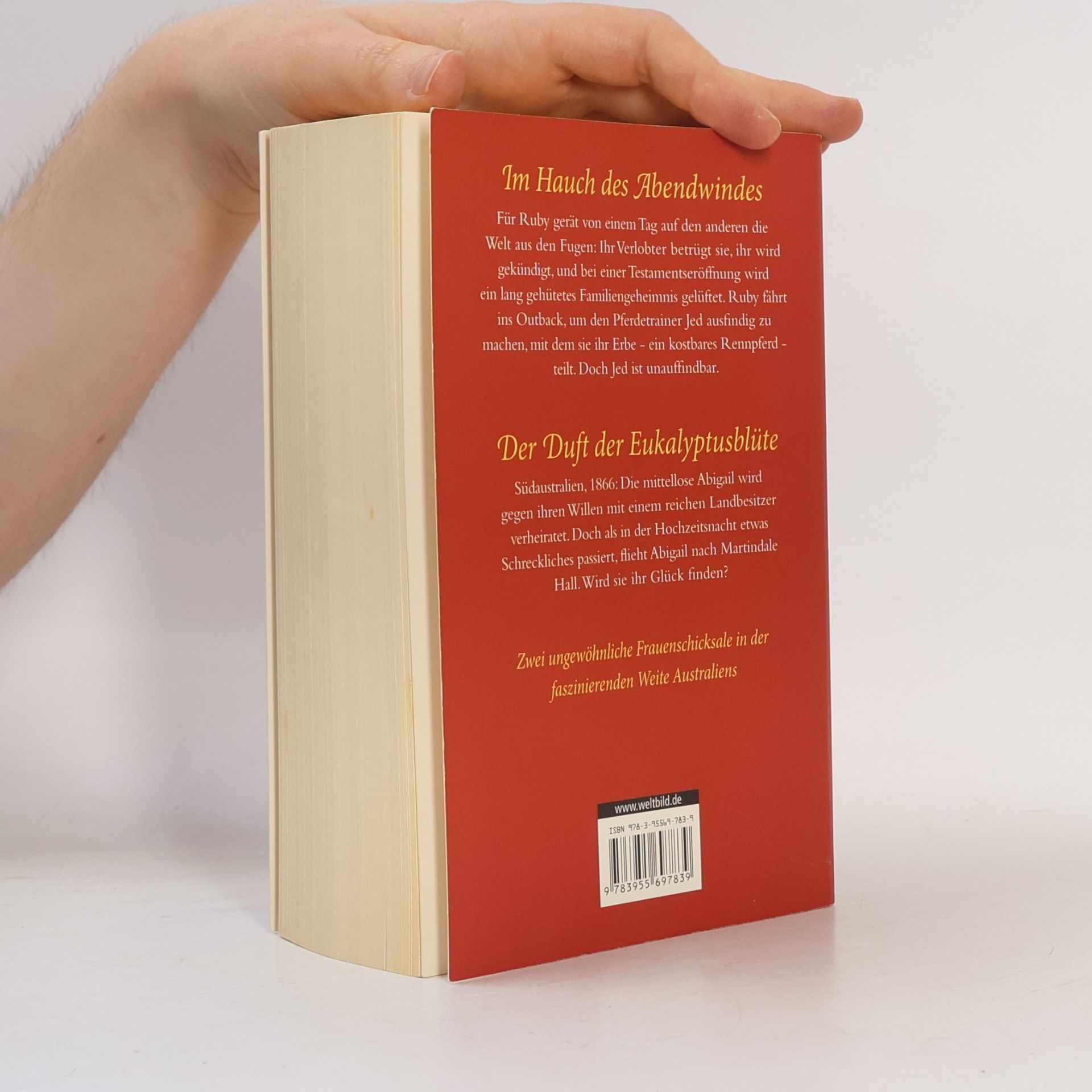 Elizabeth Haran Im Hauch des Abendwindes