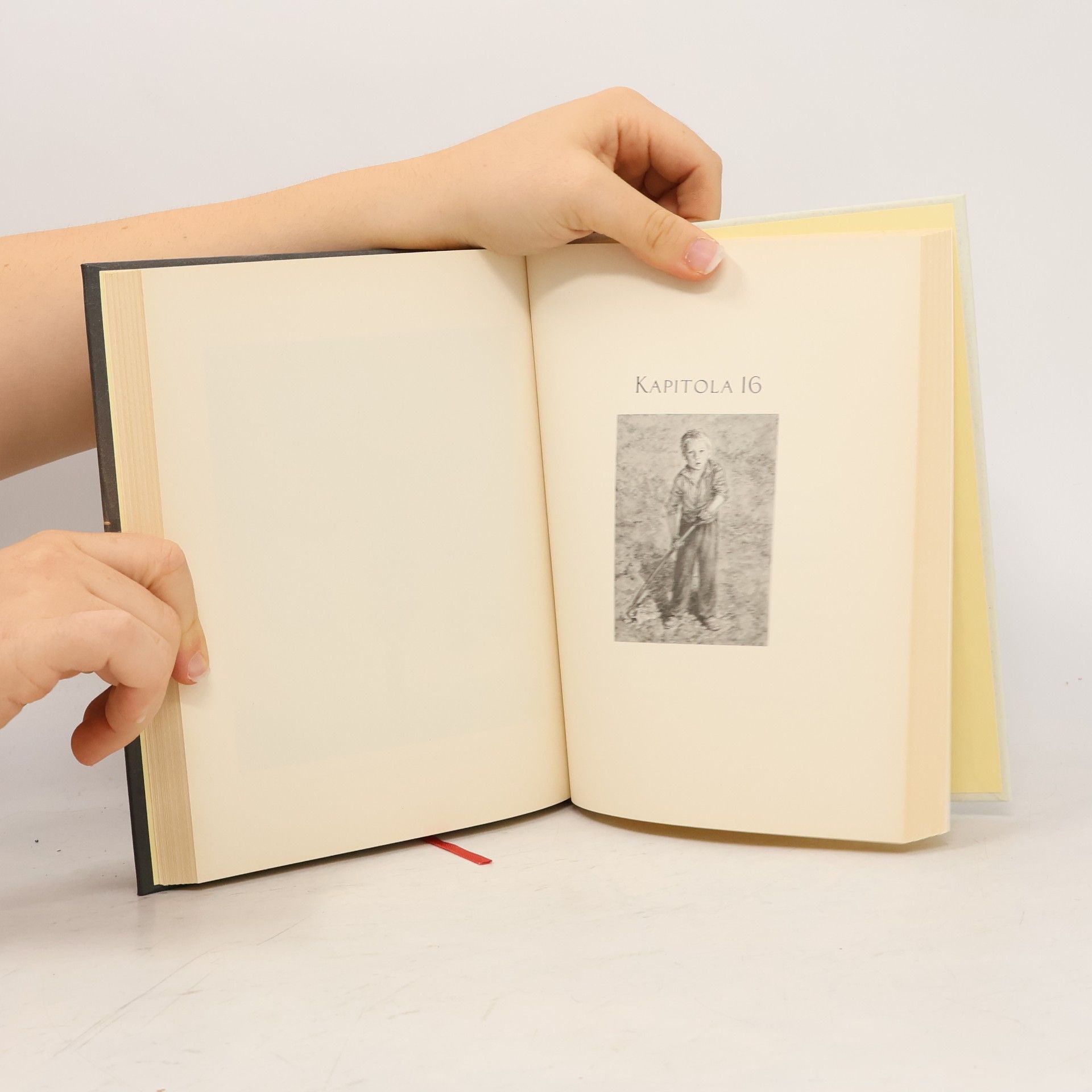 Kate DiCamillo Eduard a jeho zázračná cesta
