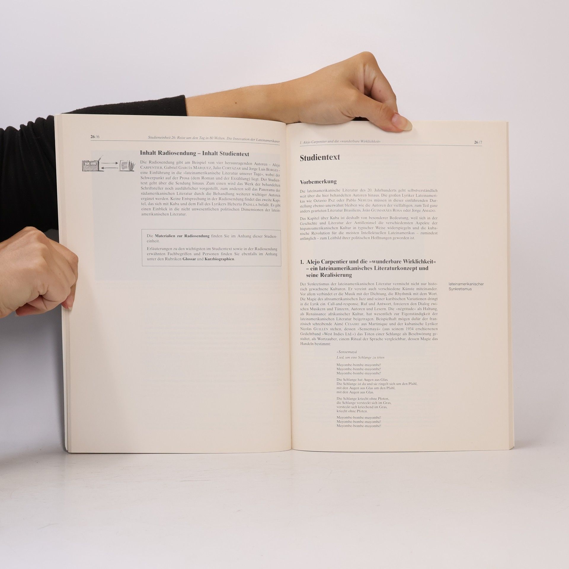 Various authors Literarische Moderne. Studienbrief 9
