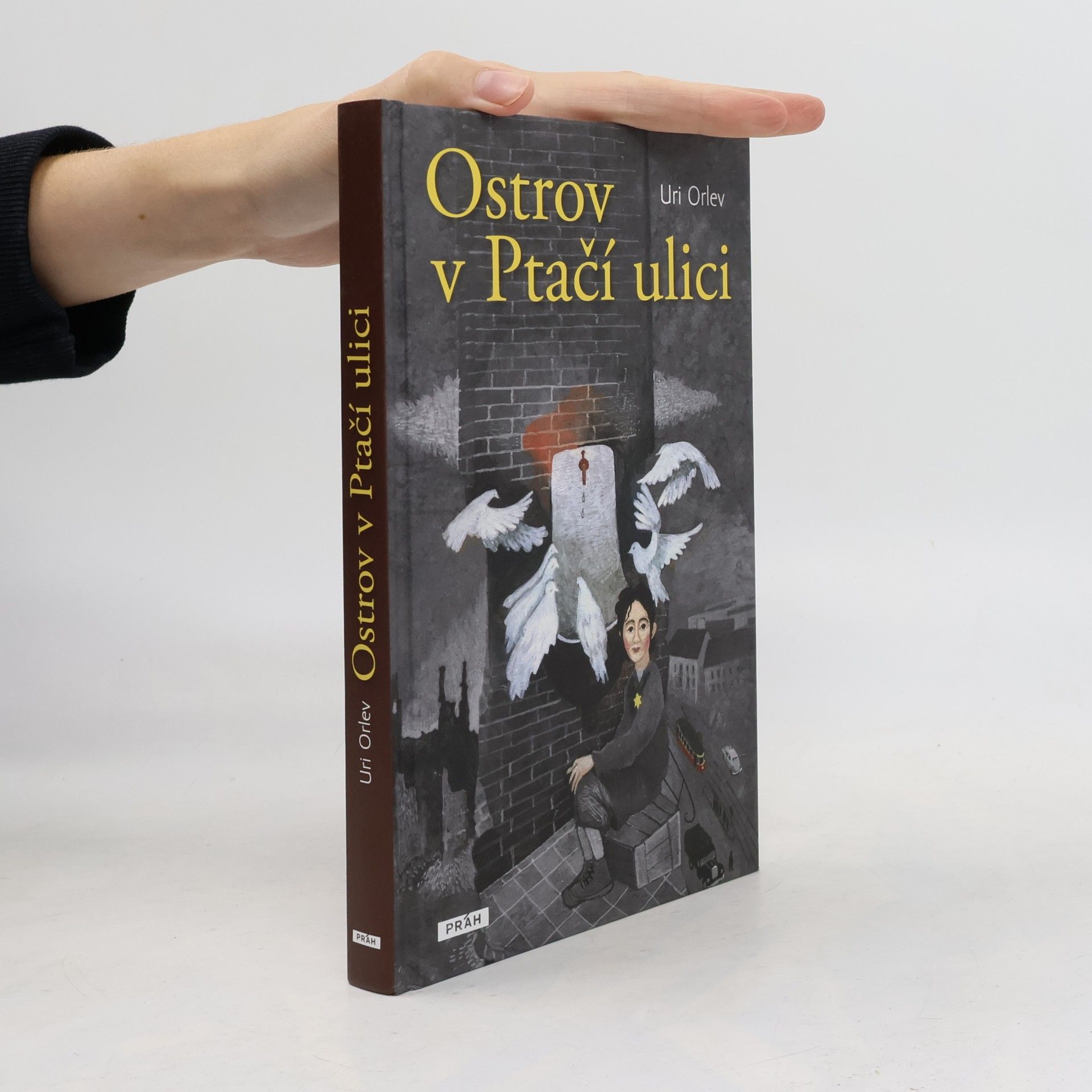 Uri Orlev Ostrov v Ptačí ulici