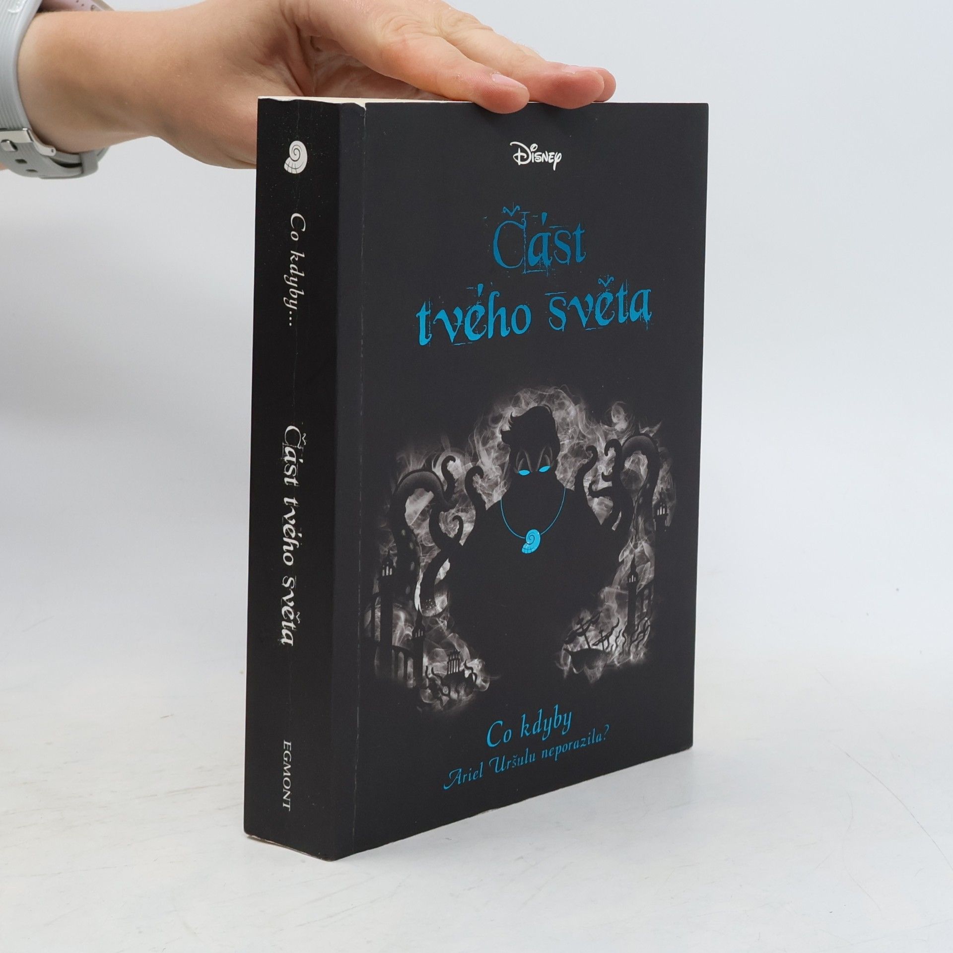 Elizabeth J. Braswell Část tvého světa : co kdyby Ariel Uršulu neporazila?
