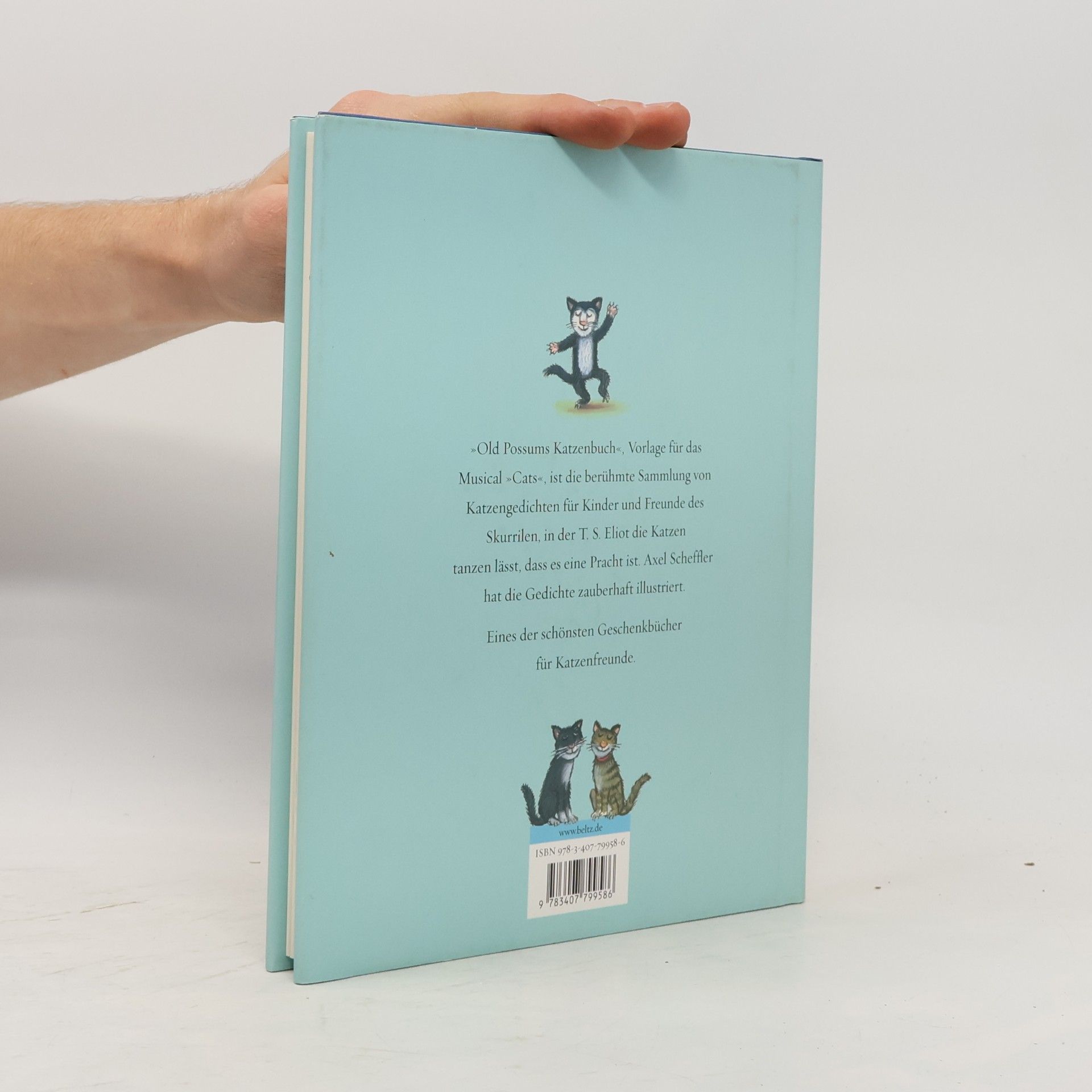 T. S. Eliot Old Possums Katzenbuch