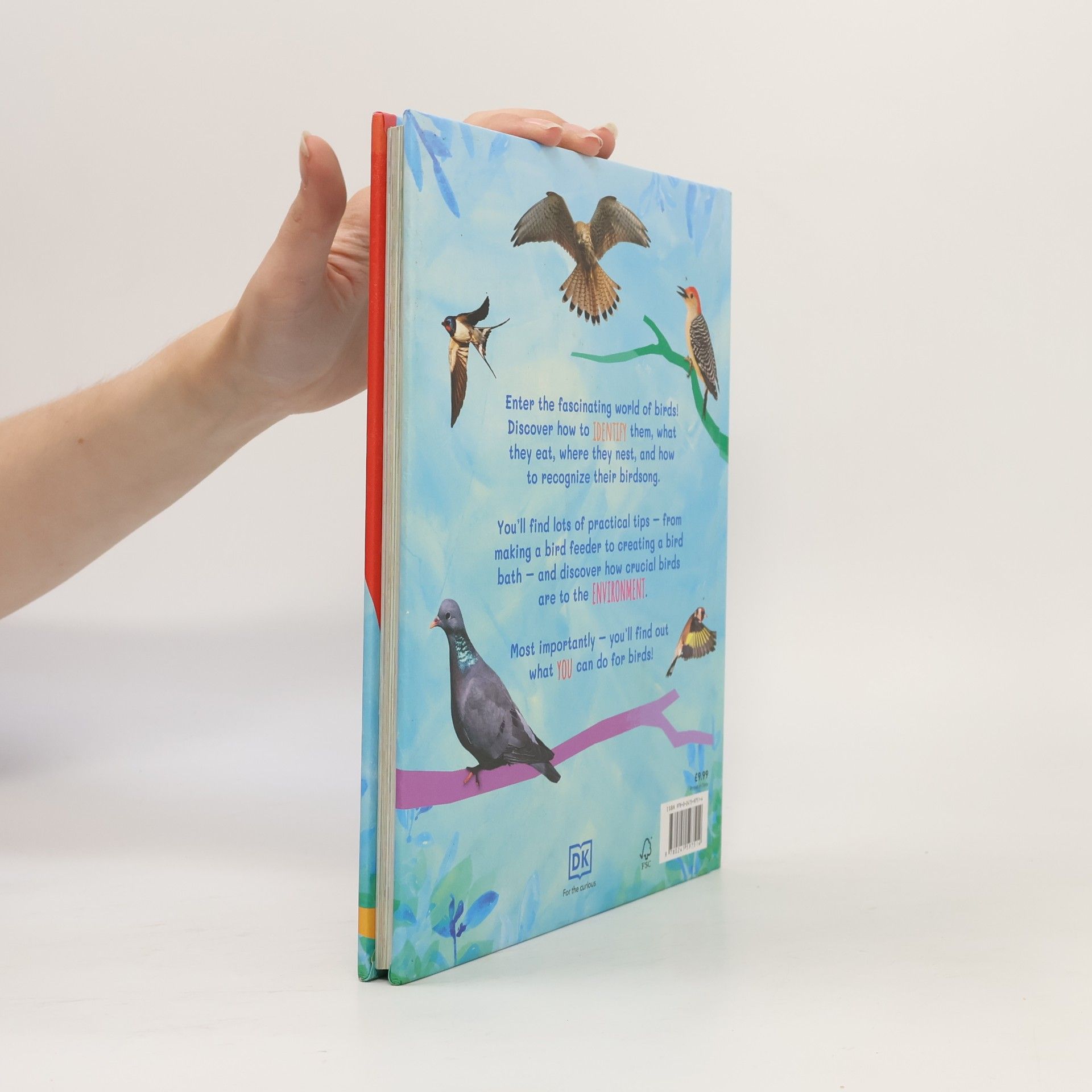 Dan Rouse The Children's Book of Birdwatching