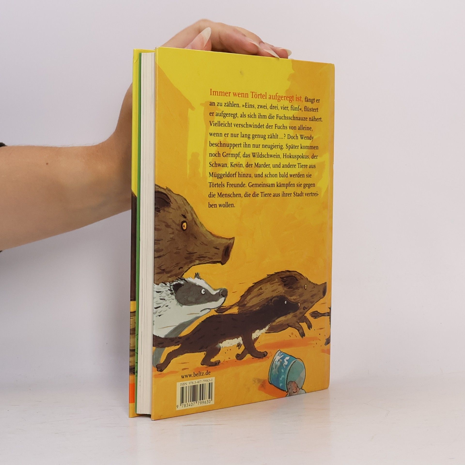 Wieland Freund Törtel, die Schildkröte aus dem McGrün