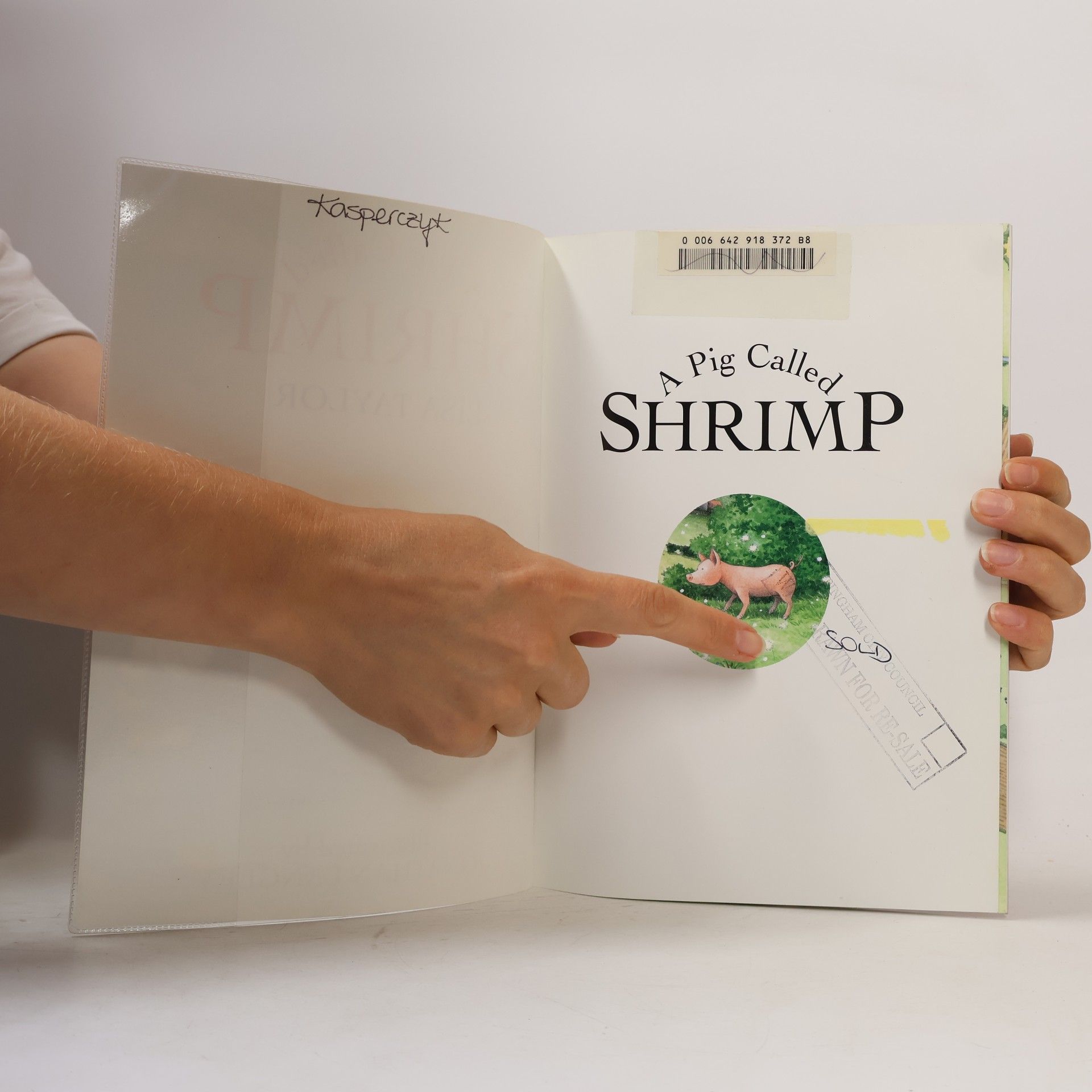 Lisa Taylor Picture Lions: A Pig Called Shrimp