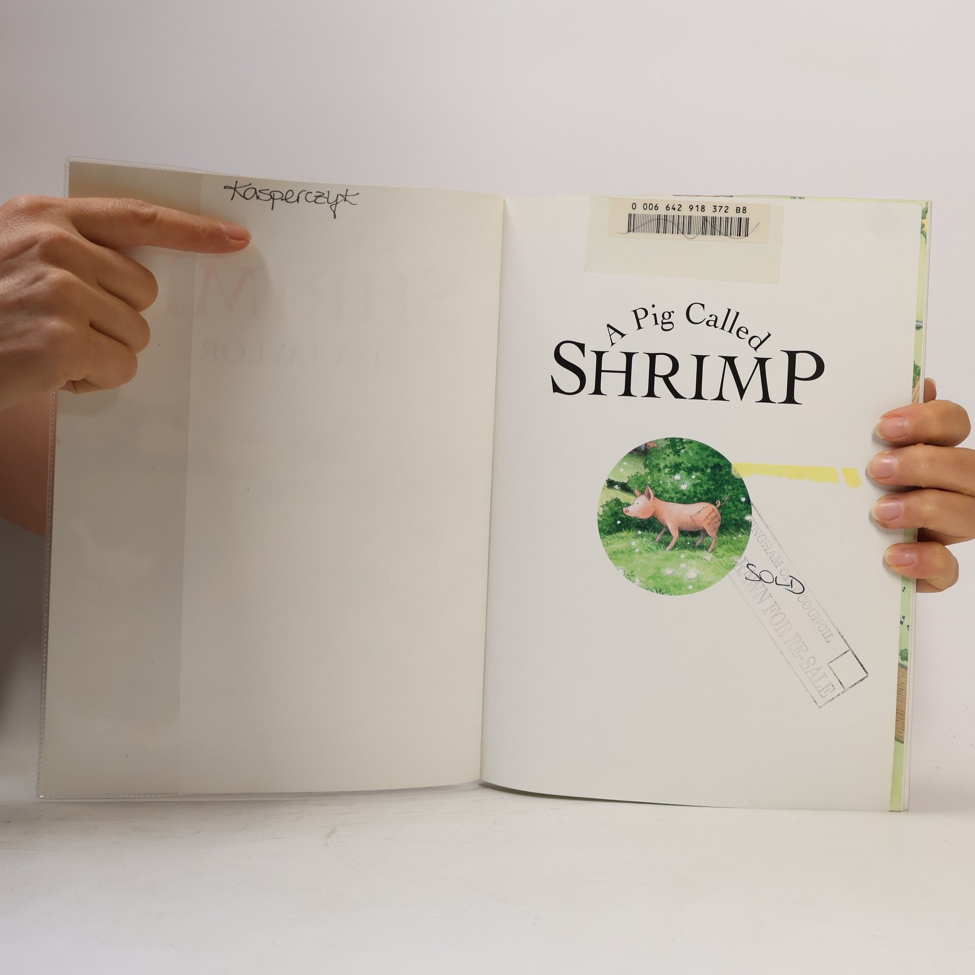 Lisa Taylor Picture Lions: A Pig Called Shrimp