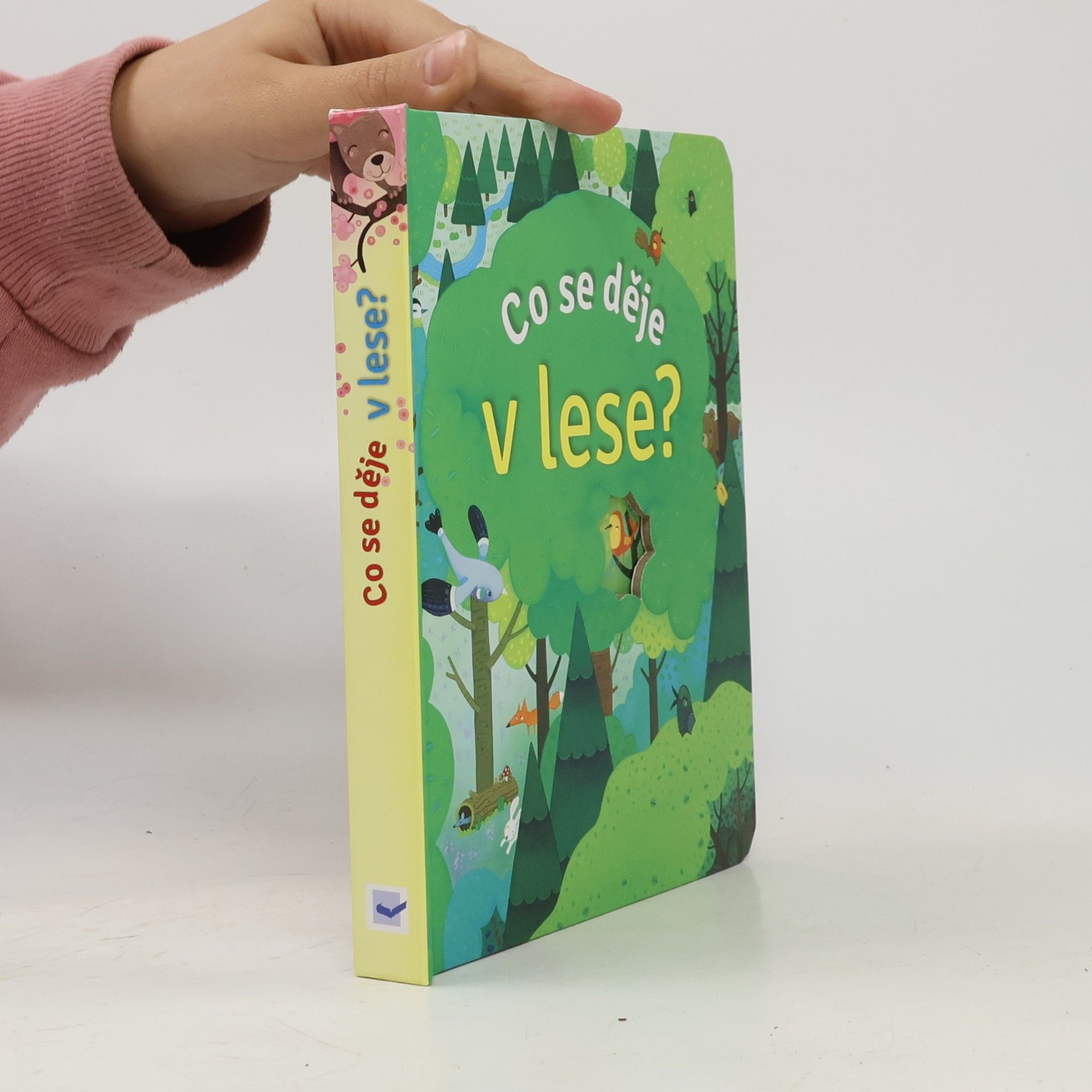 Anna Milbourne Co se děje v lese?