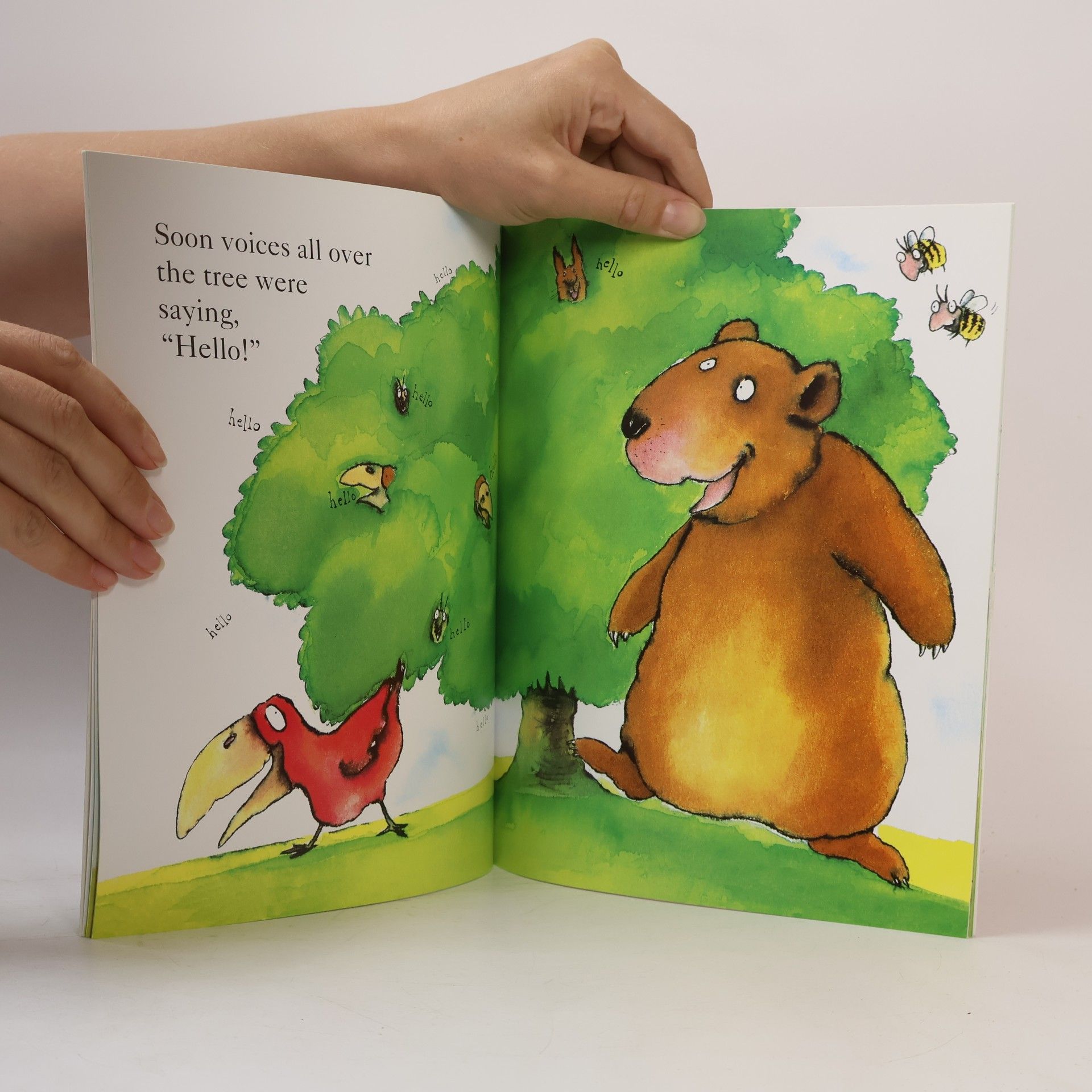 David Lloyd Share A Story, Hello, Goodbye