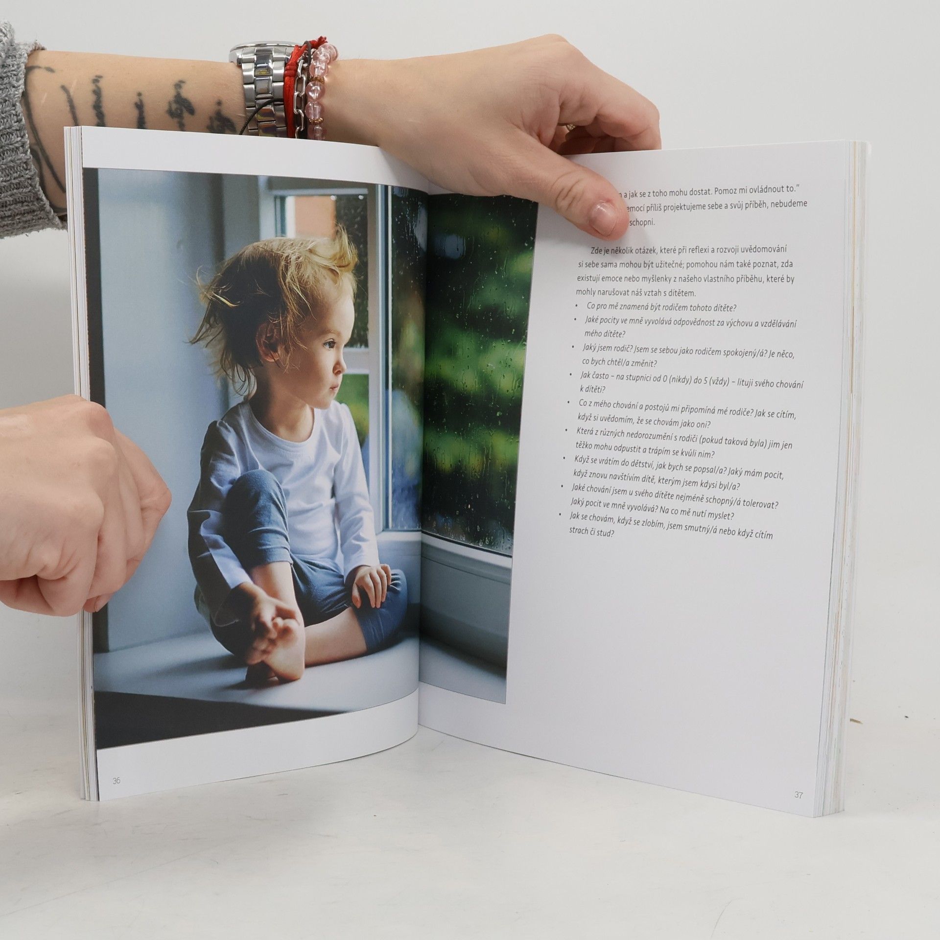 Chiara Piroddi Montessori : dětské emoce : jak naučit děti pochopit své pocity