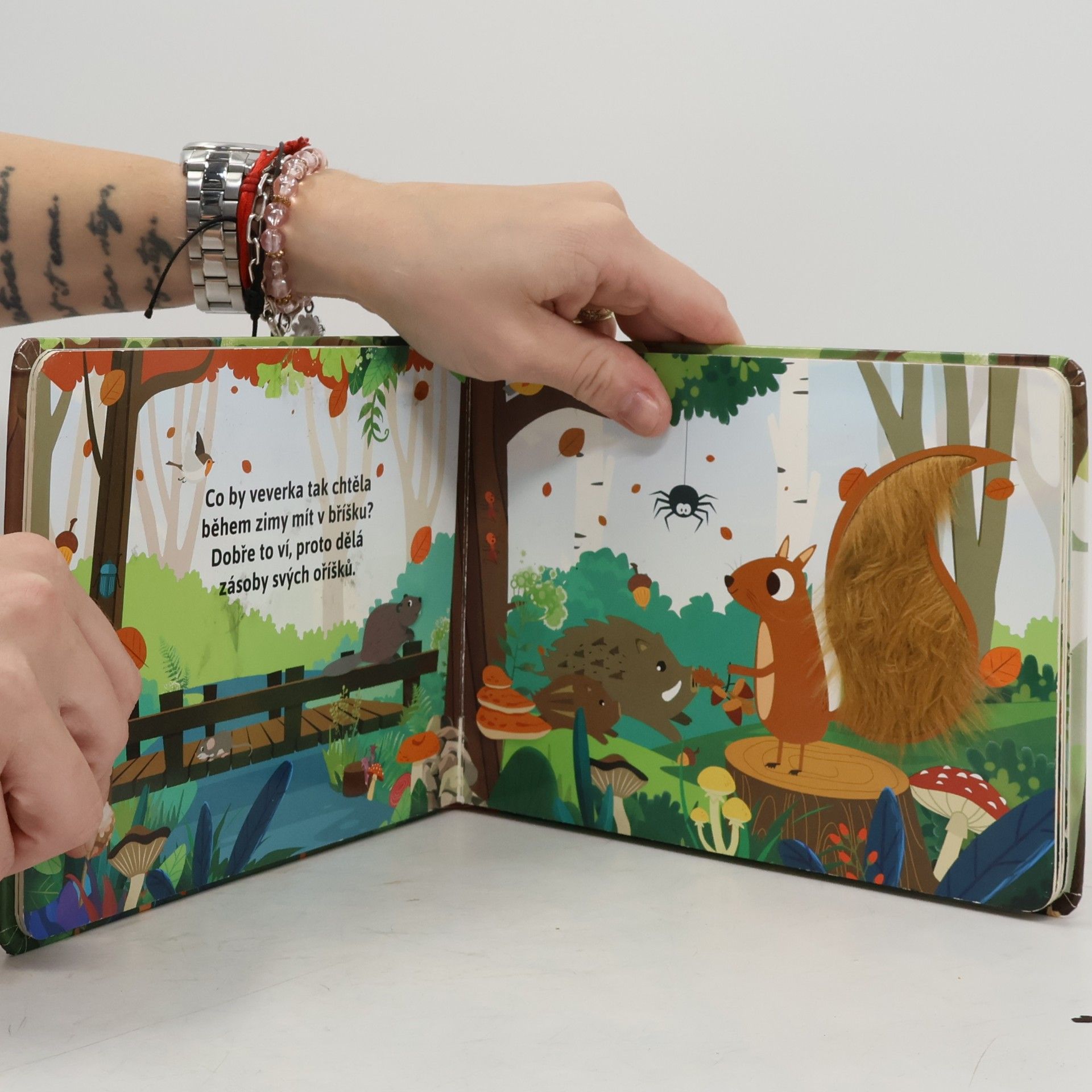 Fiona Huisman Zvířata z lesa: pohlaď si