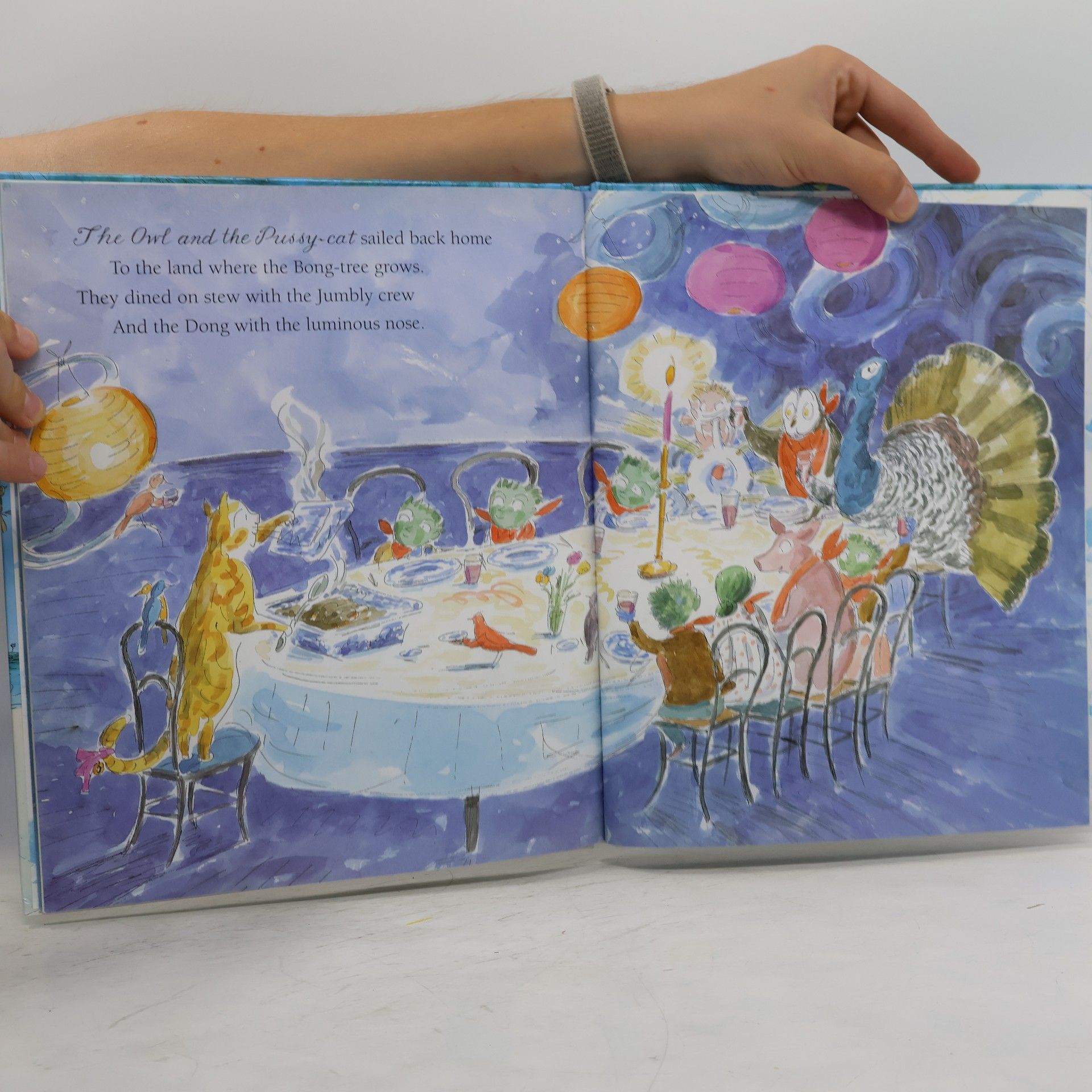 Julia Donaldson The Further Adventures of the Owl and the Pussy-cat