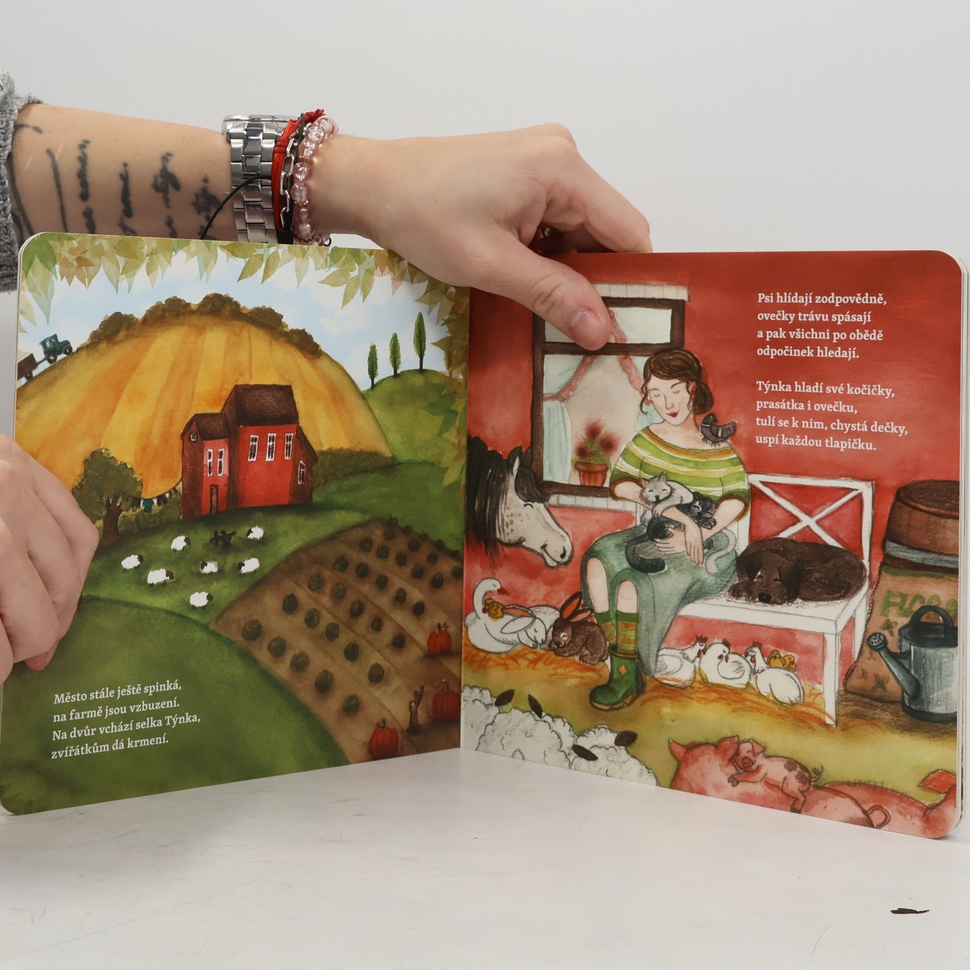Lenka Medvecová-Tinková Mini pohádkopsaní
