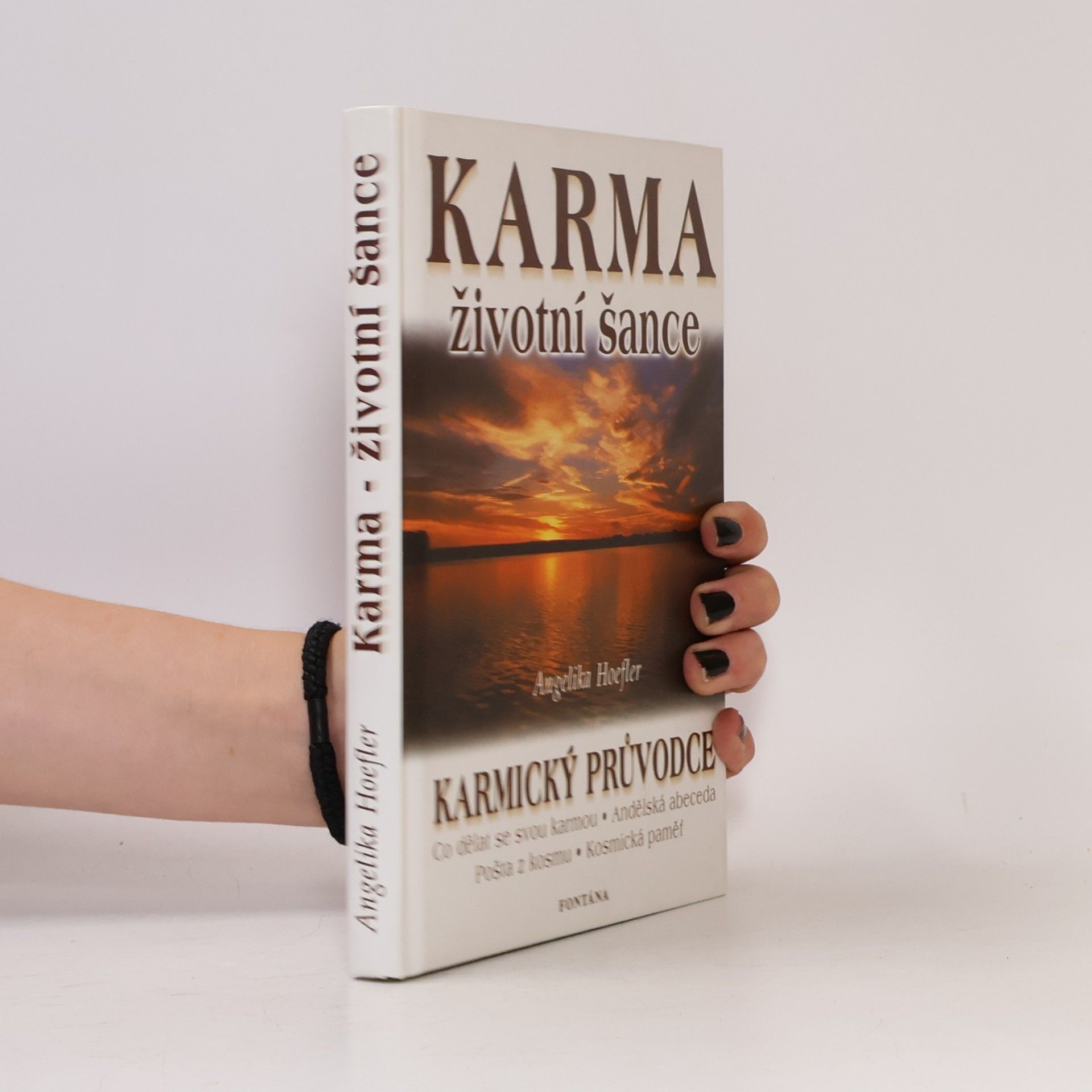 Angelika Hoefler Karma - životní šance, aneb, Jak proměníte každou zkoušku ve svůj osobní úspěch : karmický průvodce
