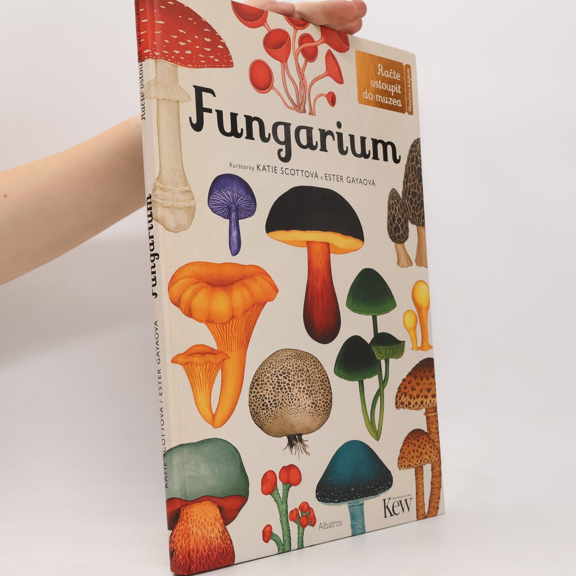 Lily Murray Fungarium