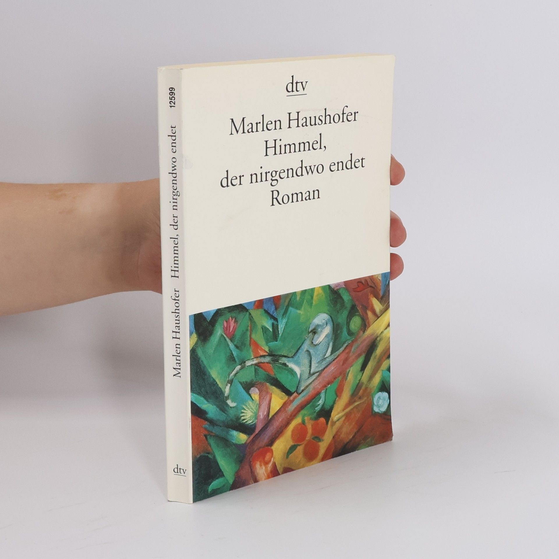 Marlen Haushofer Himmel, der nirgendwo endet