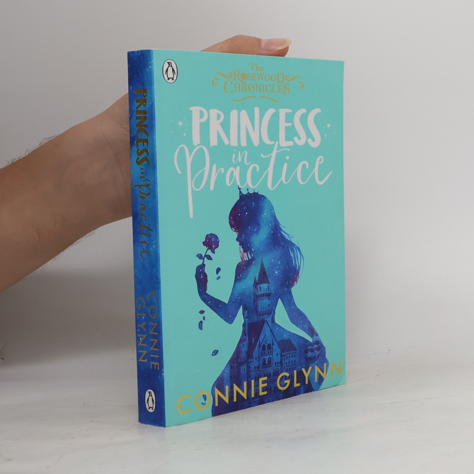 Connie Glynn Princess in Practice