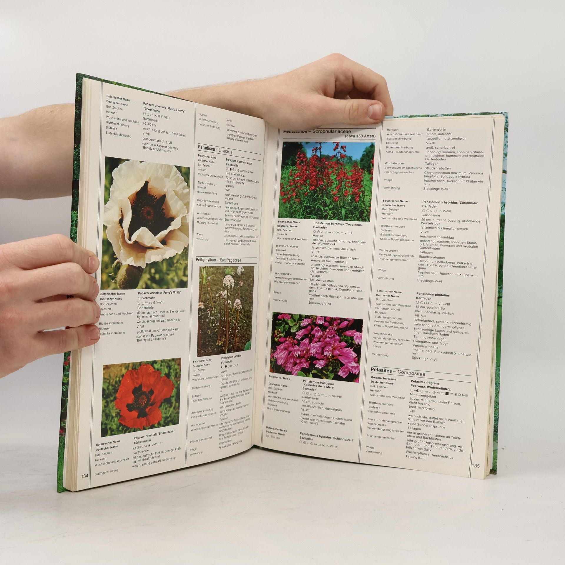 Autores varios Kreuzers Gartenpflanzen-Lexikon 2