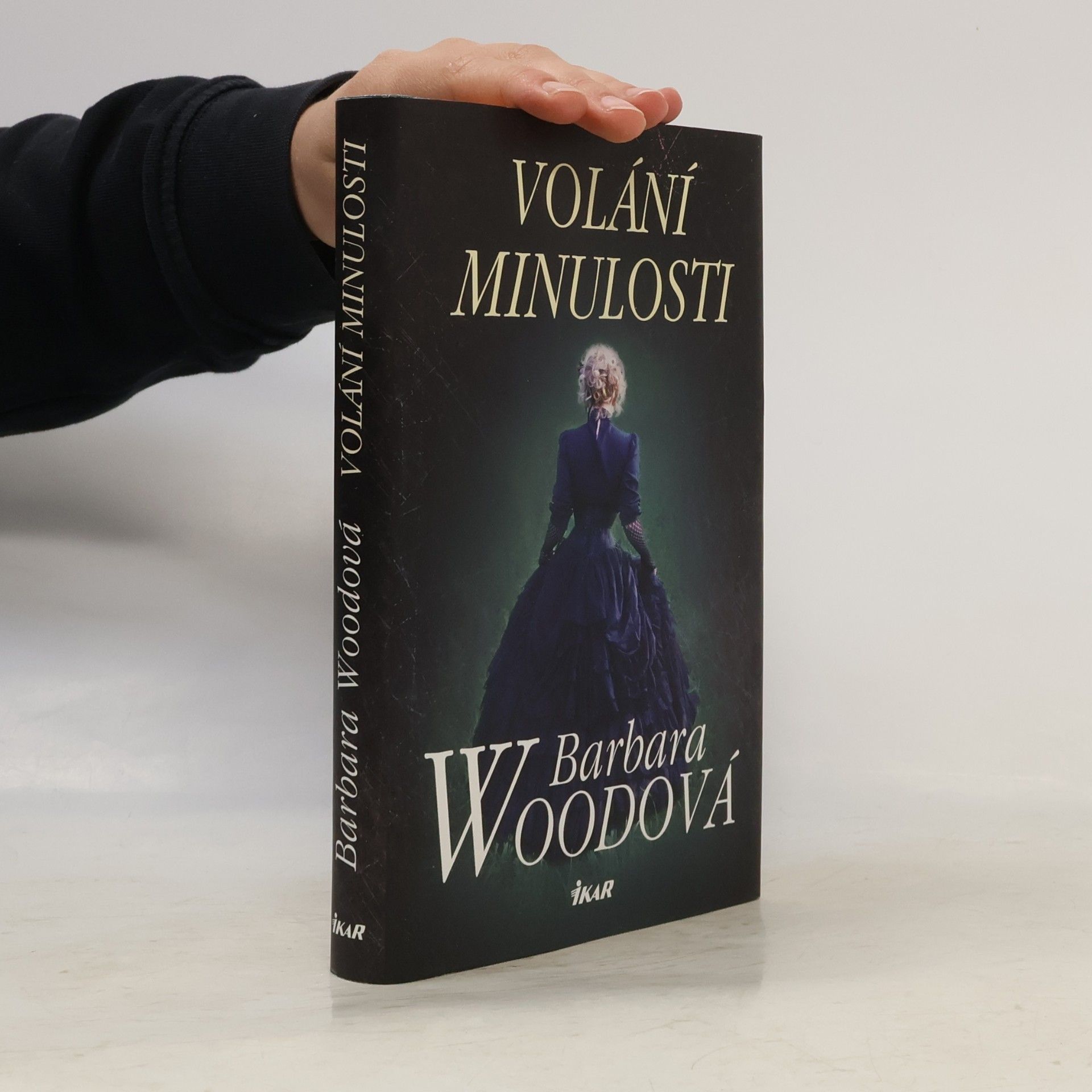 Barbara Wood Volání minulosti
