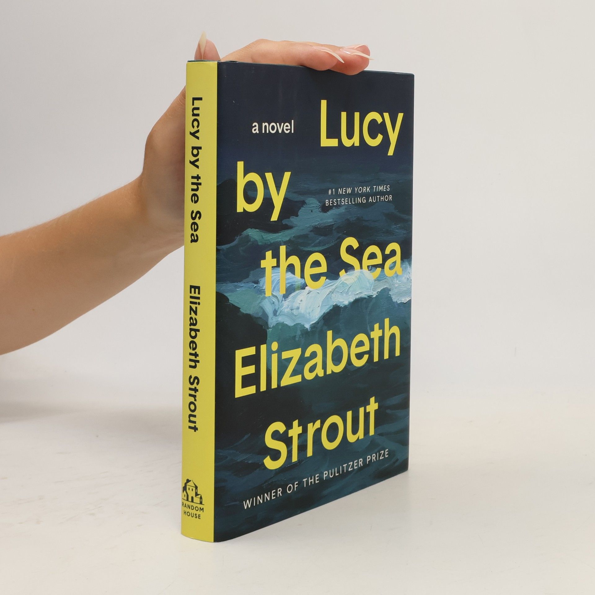 Elizabeth Strout Lucy by the Sea