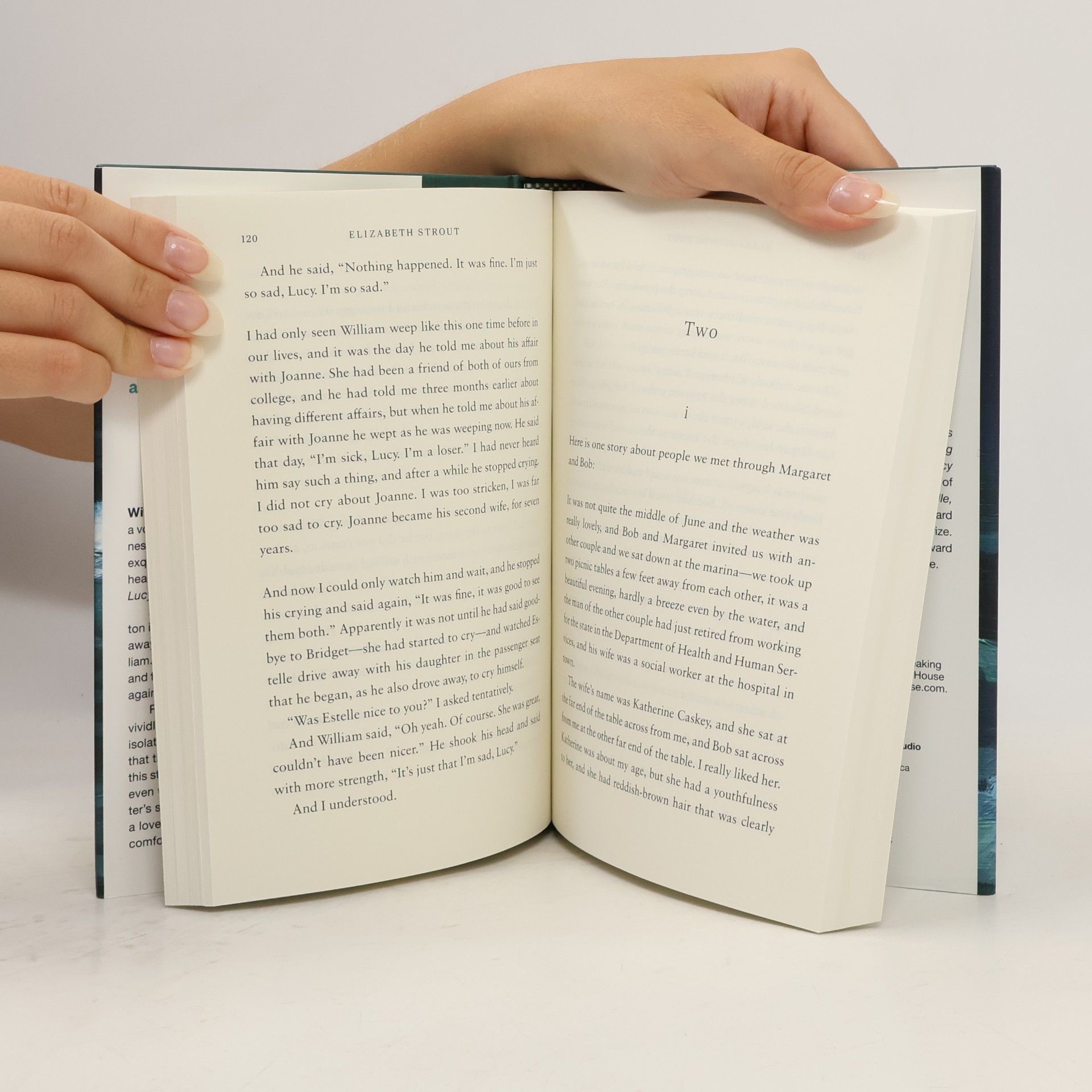 Elizabeth Strout Lucy by the Sea