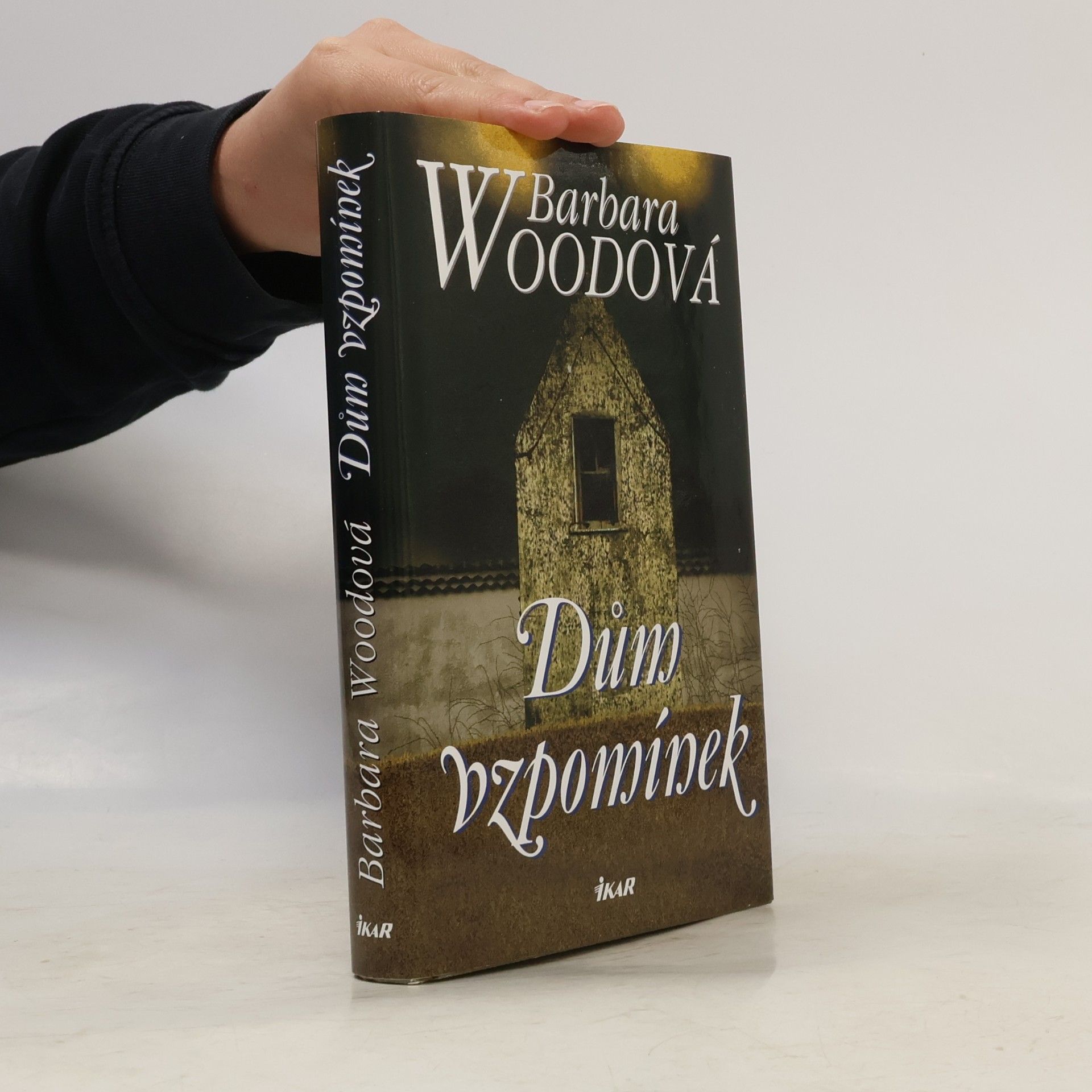 Barbara Wood Dům vzpomínek
