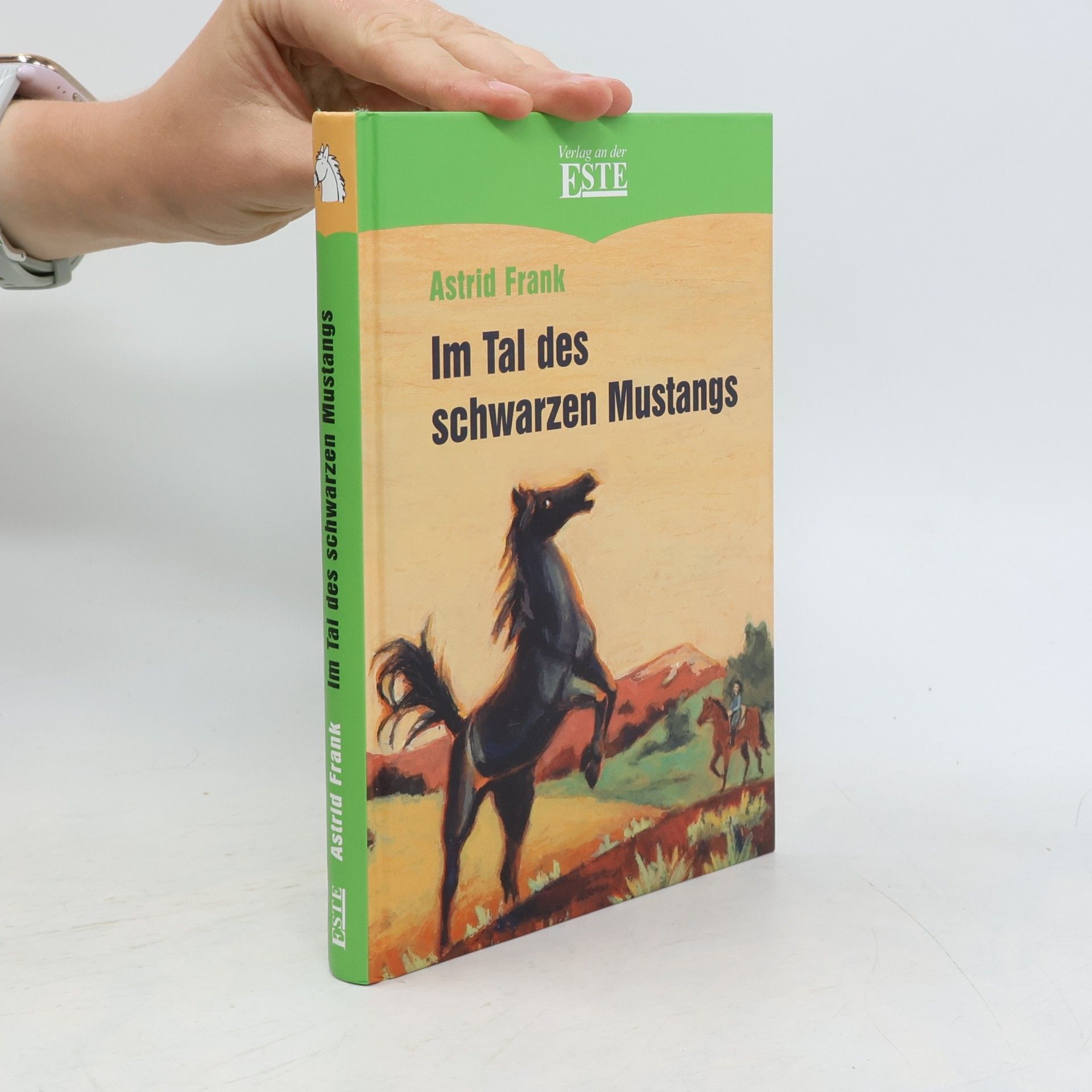 Astrid Frank Im Tal des schwarzen Mustangs