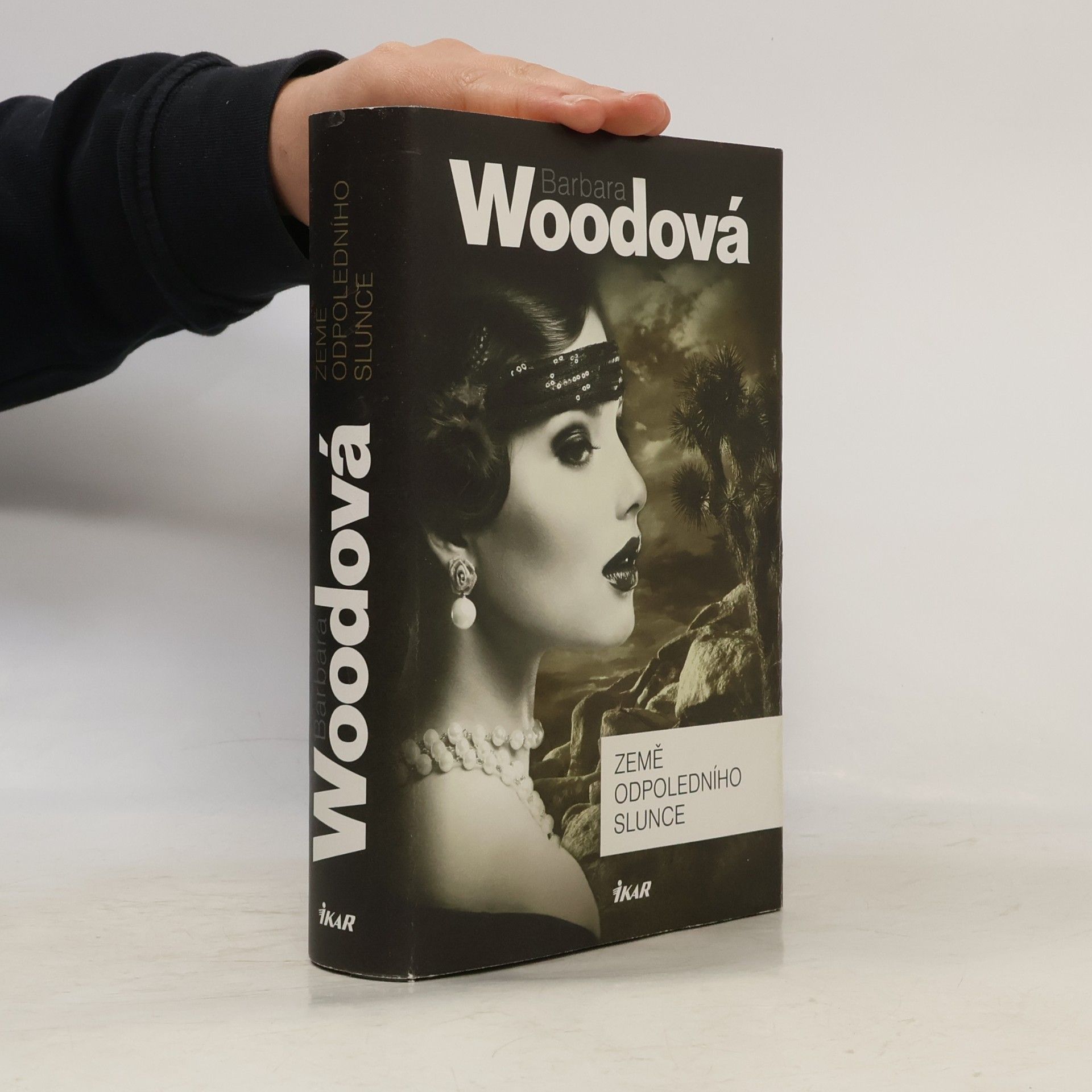 Barbara Wood Země odpoledního slunce