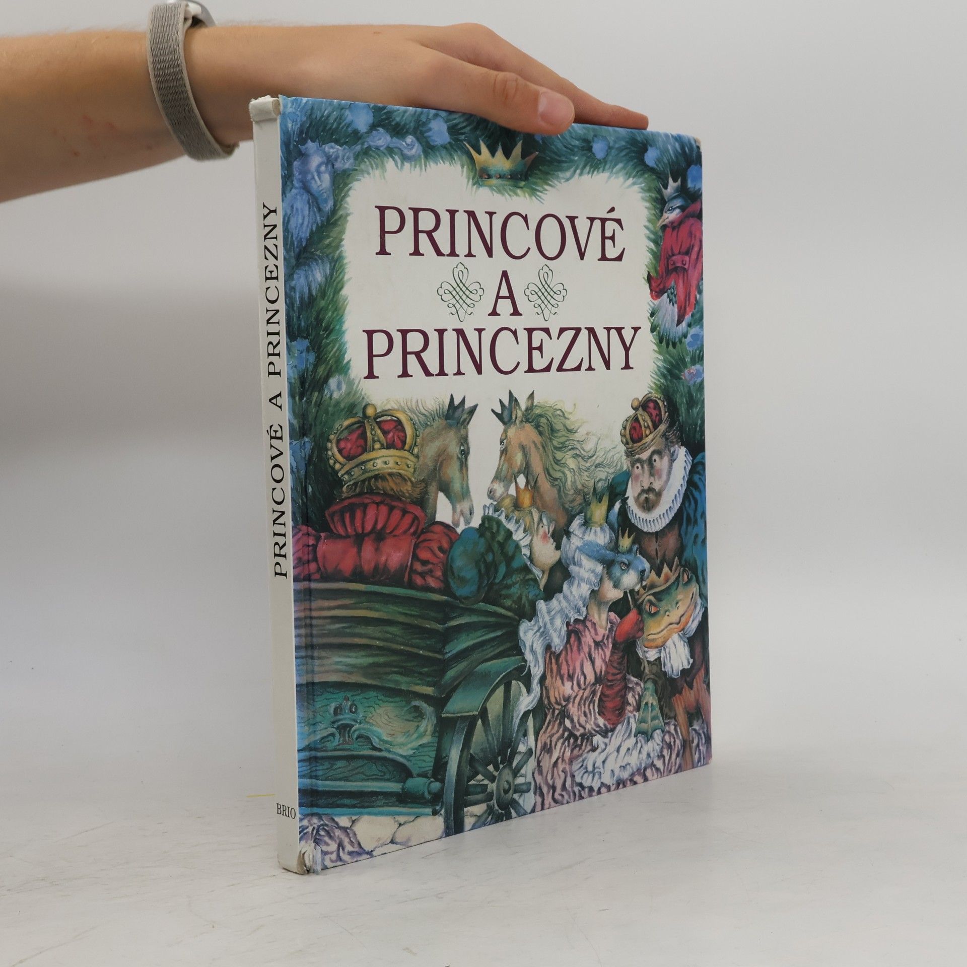 Martina Drijverová Princové a princezny