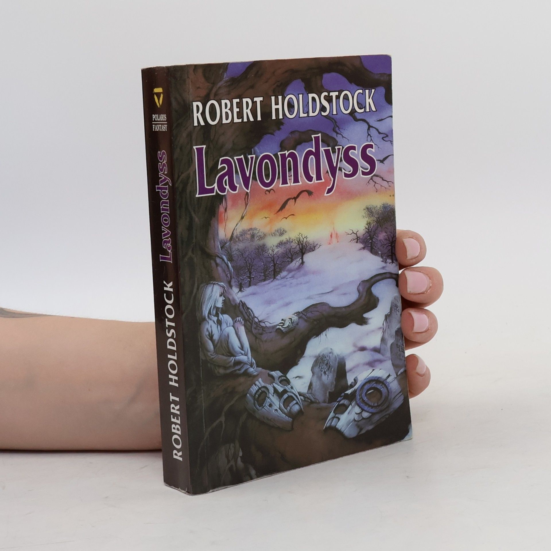 Robert Holdstock Lavondyss : cesta do neznámé země