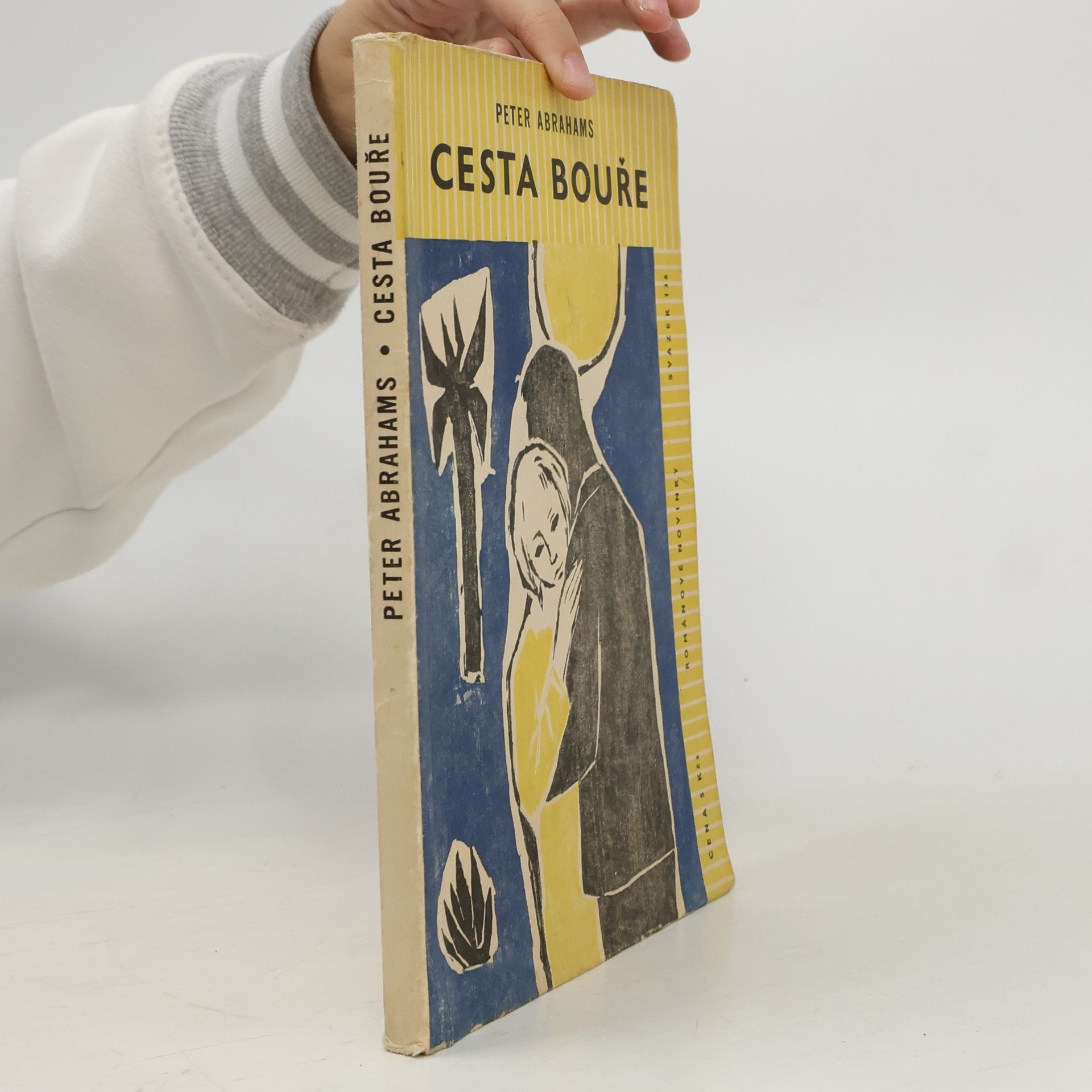 Cesta bouře
