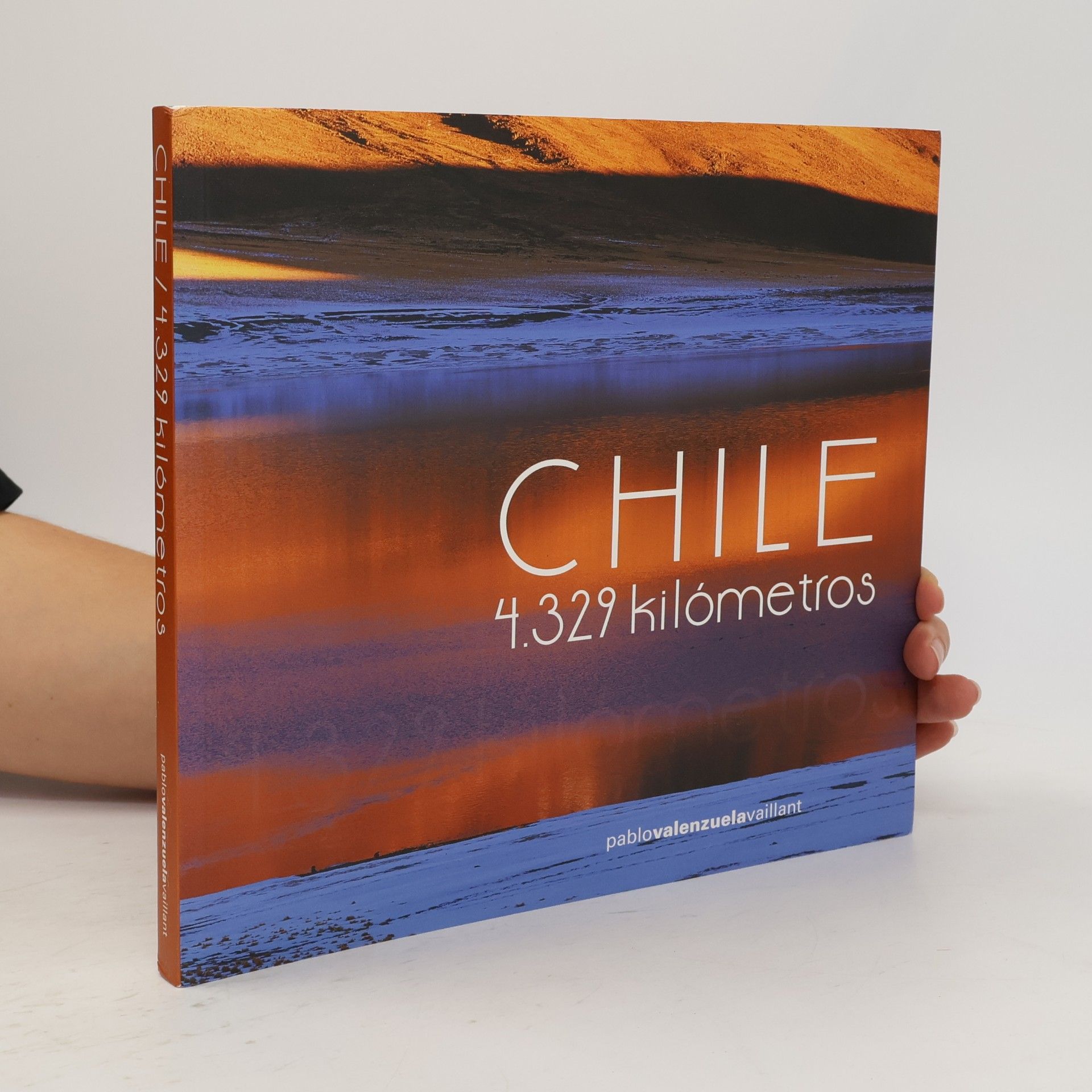 Pablo Valenzuela Vaillant Chile