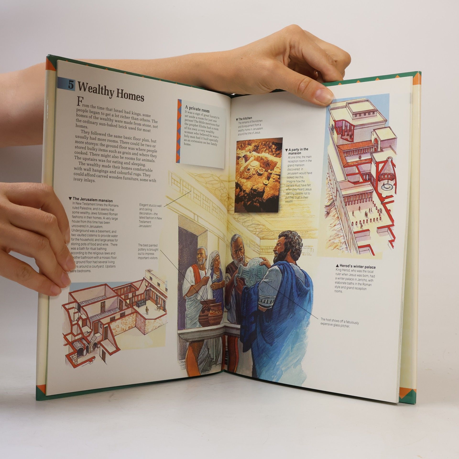 John W. Drane Bible World - 8: Homes and Families