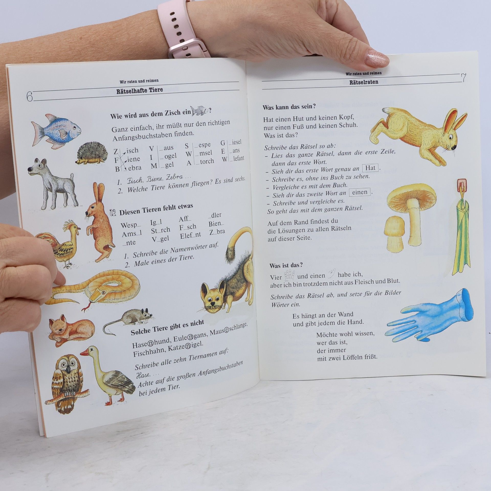 Autorenkollektiv Der Sprachfuchs