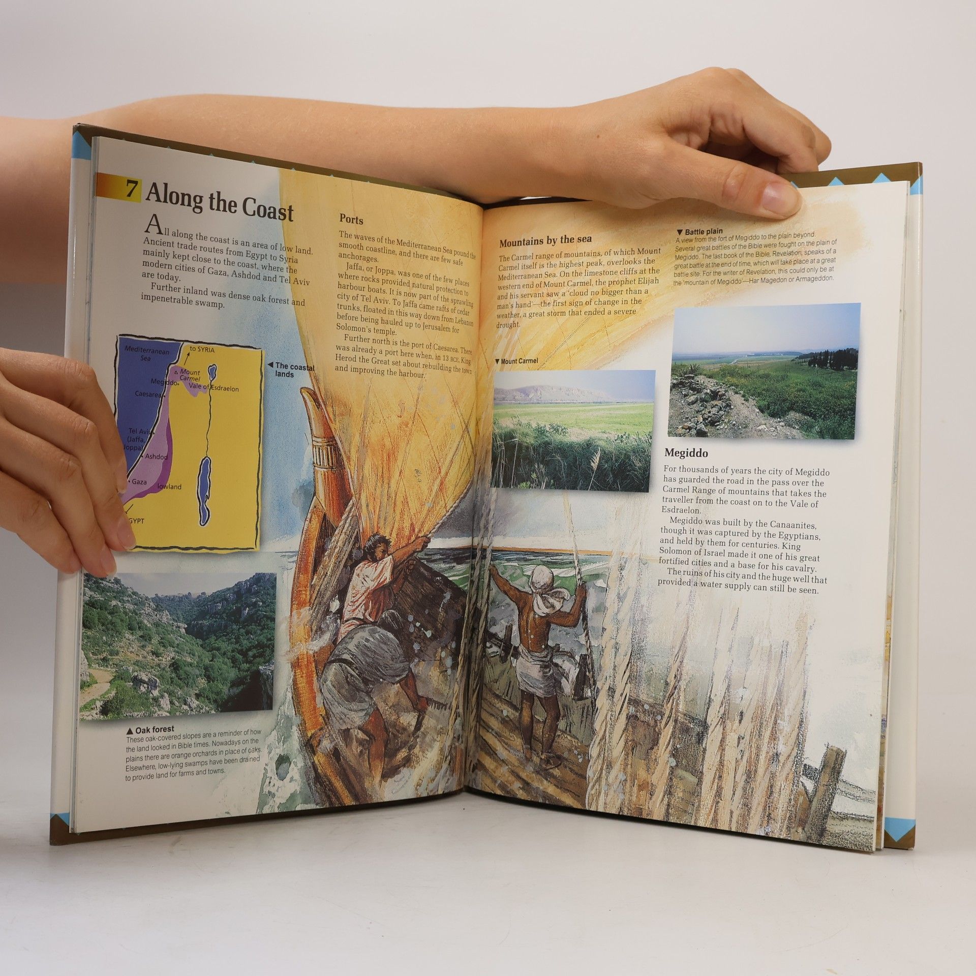 John W. Drane Bible World - 7: Where the World Began