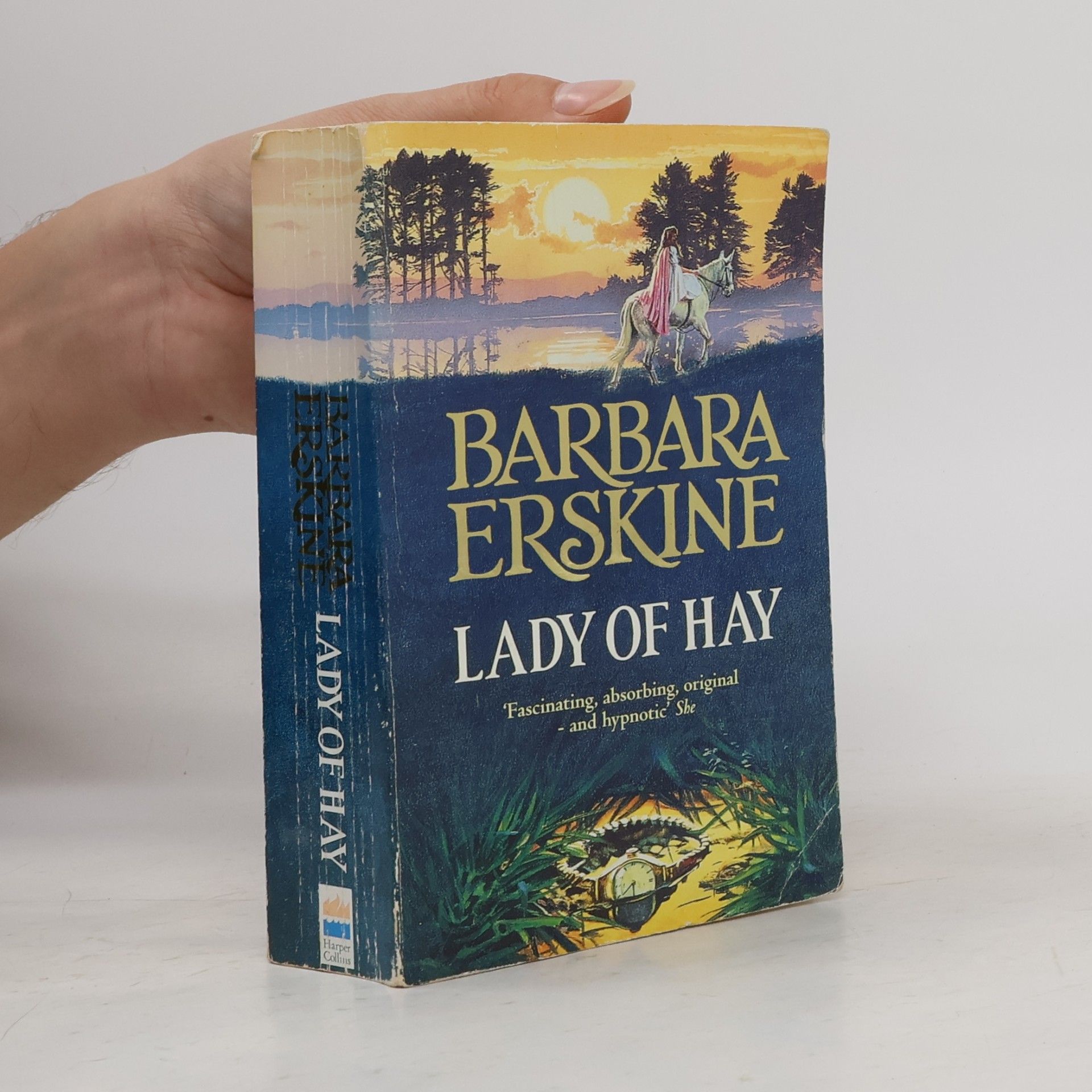 Barbara Erskine Lady of Hay