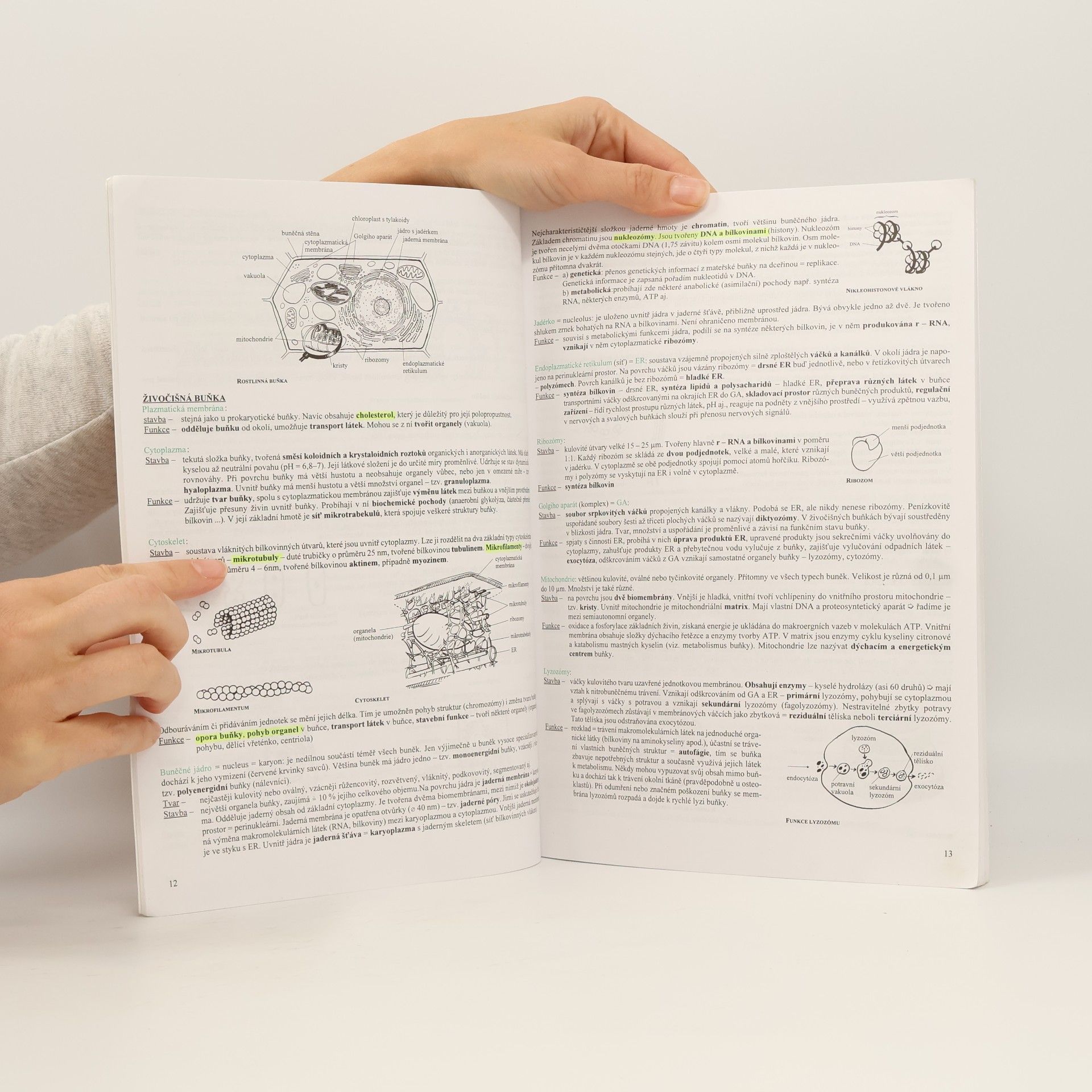 Hana Hančová Biologie v kostce I.díl