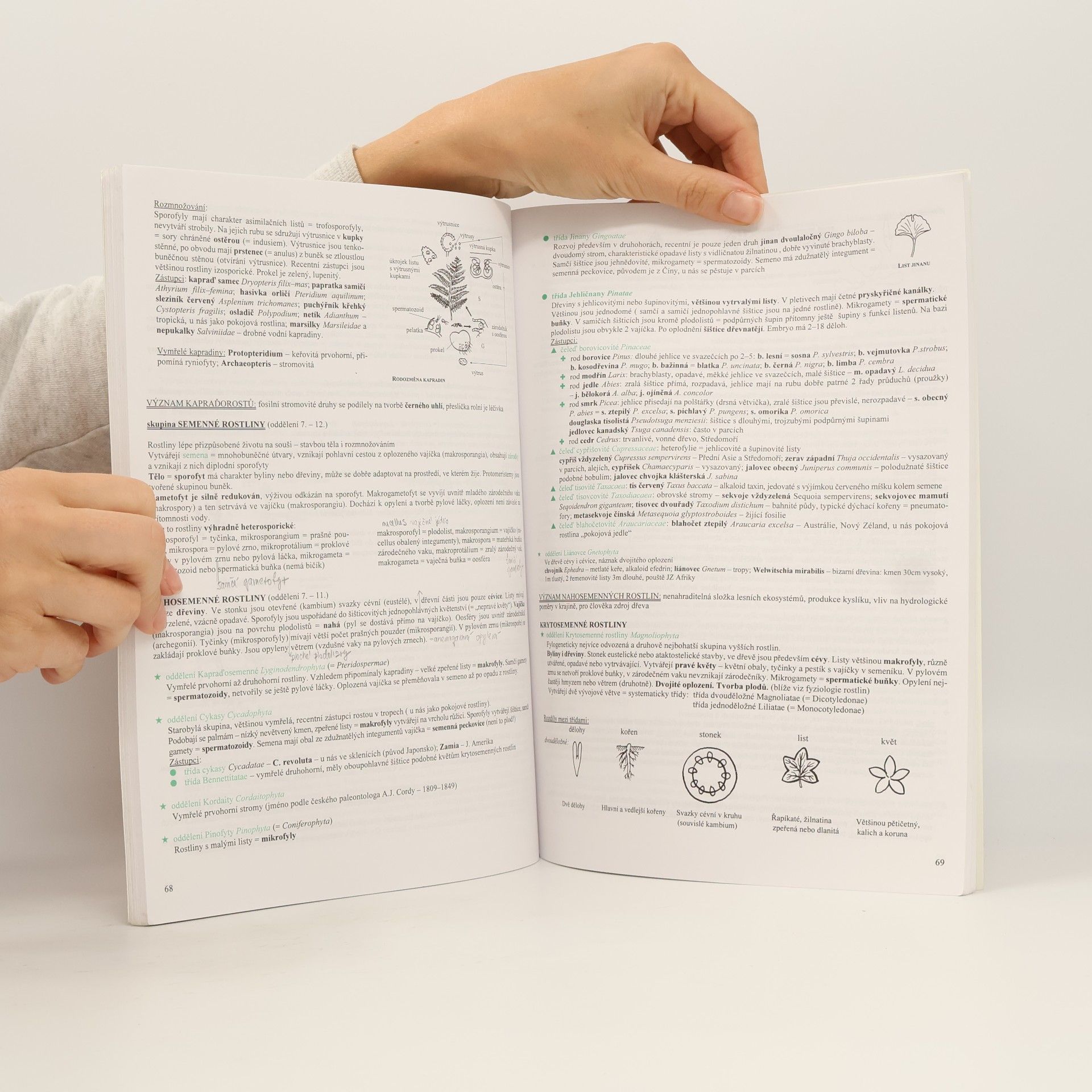 Hana Hančová Biologie v kostce I.díl