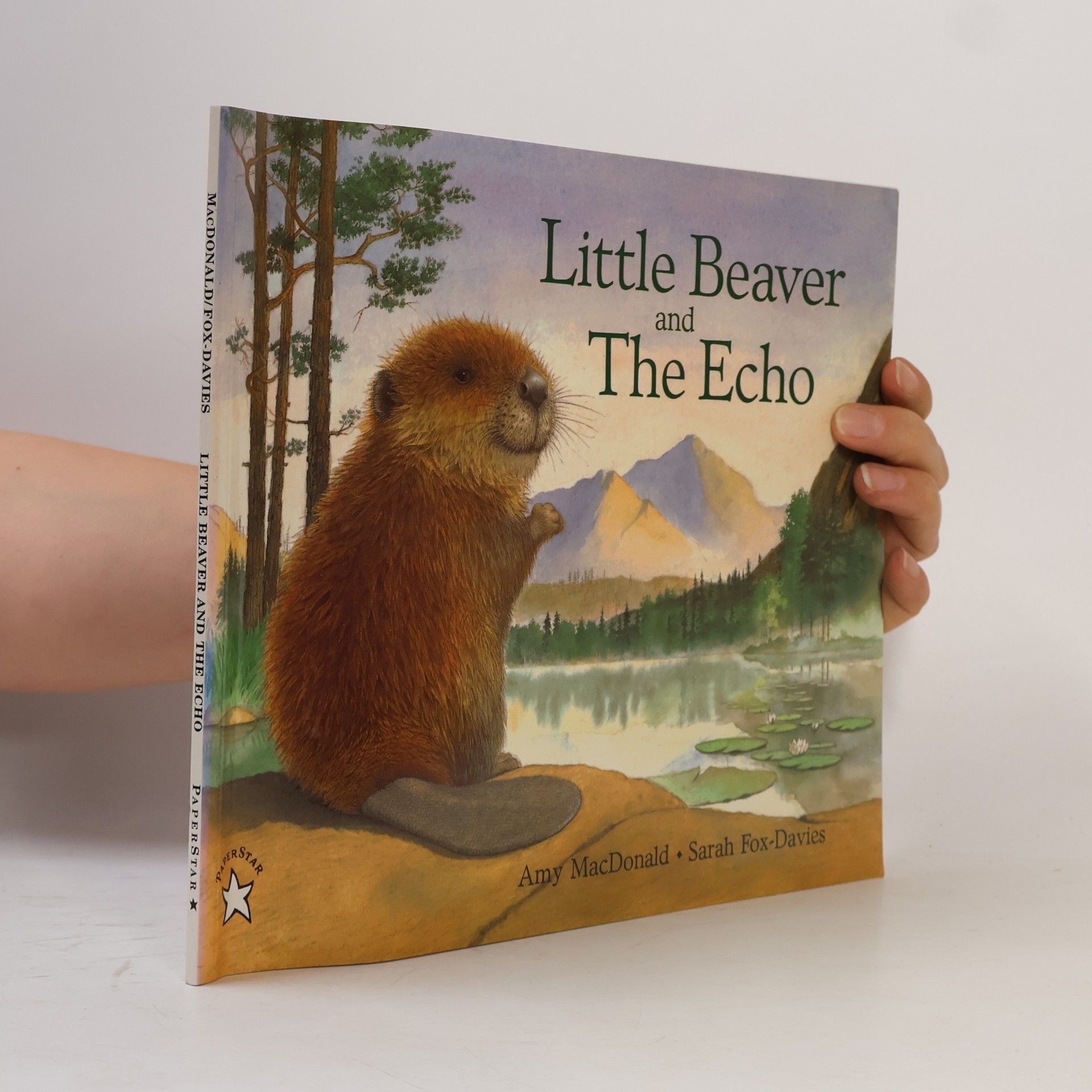 Sarah Fox-Davies Little Beaver and the Echo