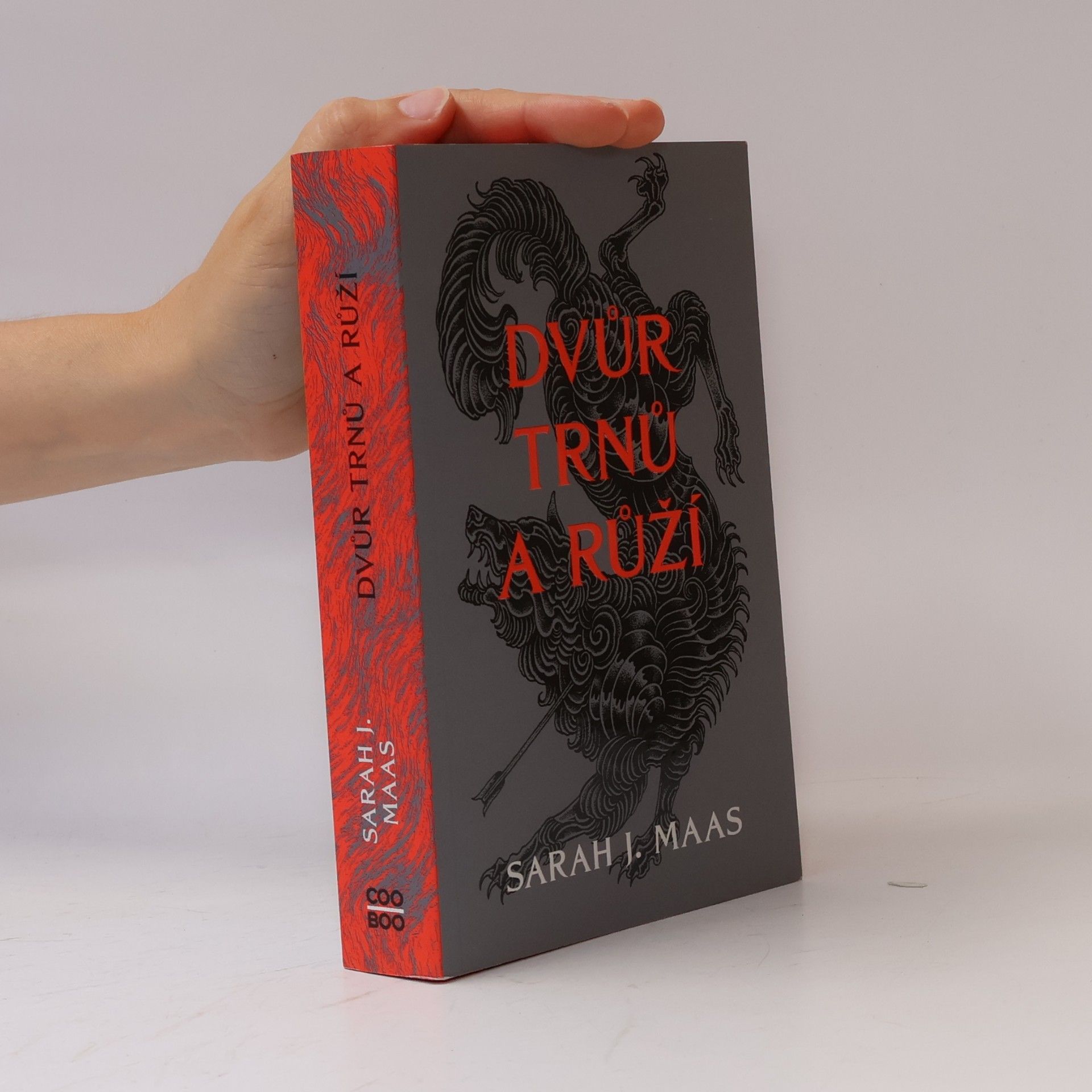 Sarah J. Maas Dvůr trnů a růží