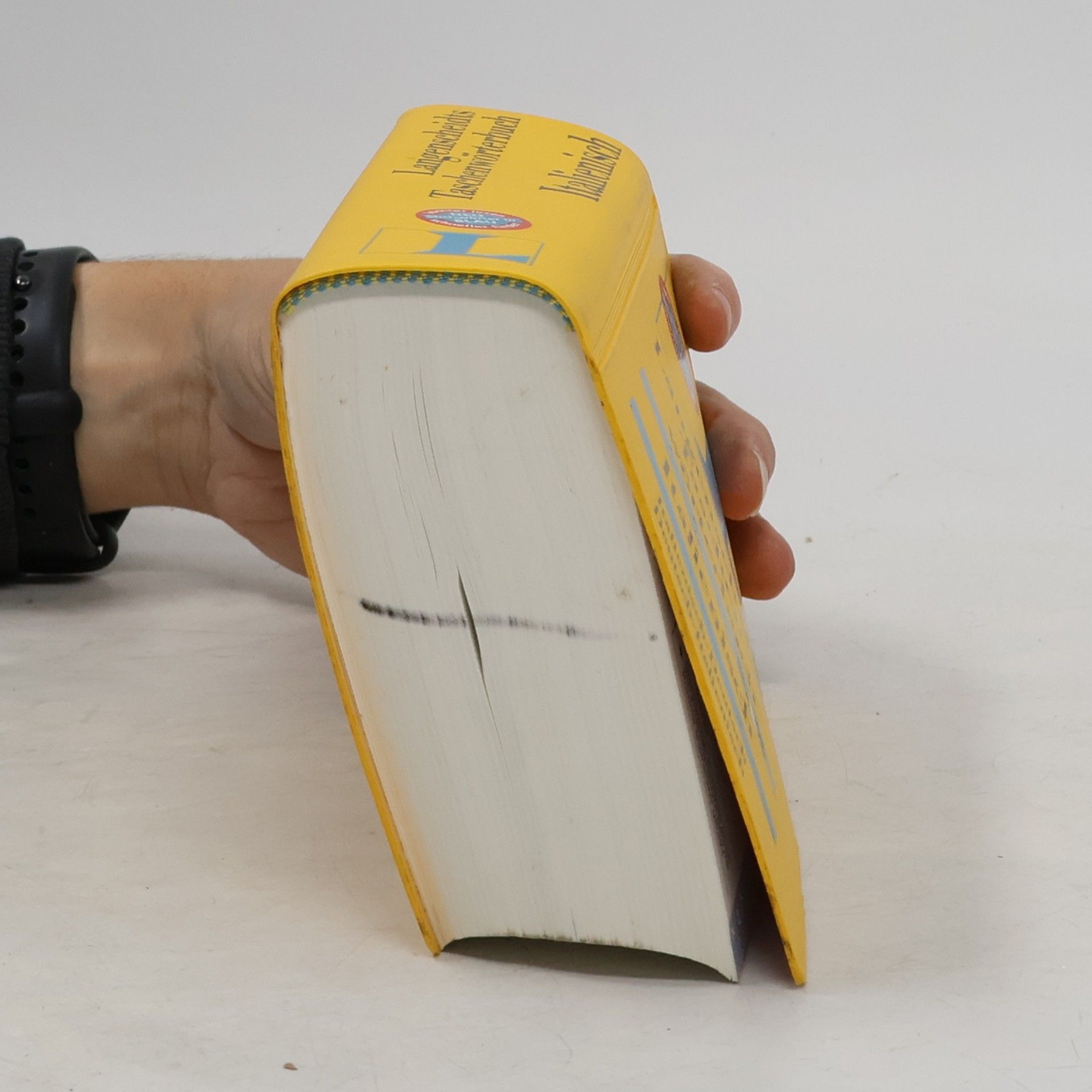 Stefano Albertini Langenscheidts Taschenwörterbuch Italienisch