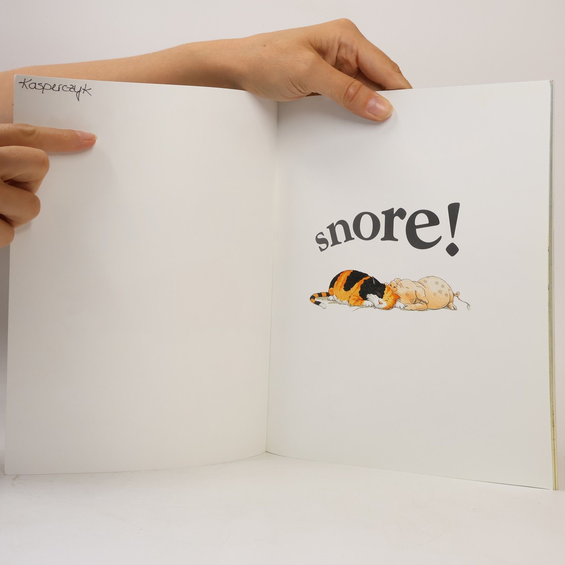 Michael Rosen Picture Lions: Snore!