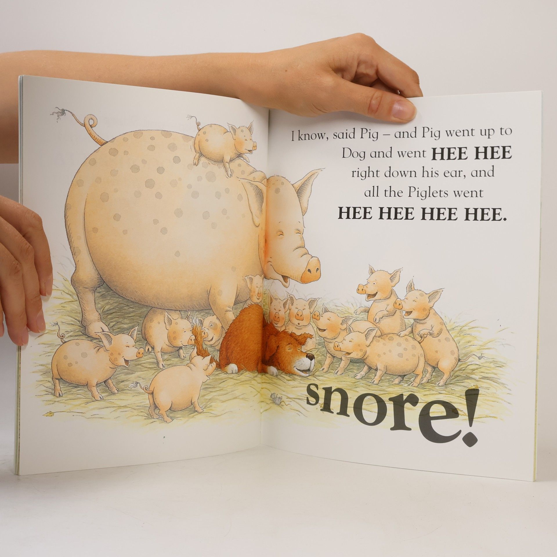 Michael Rosen Picture Lions: Snore!