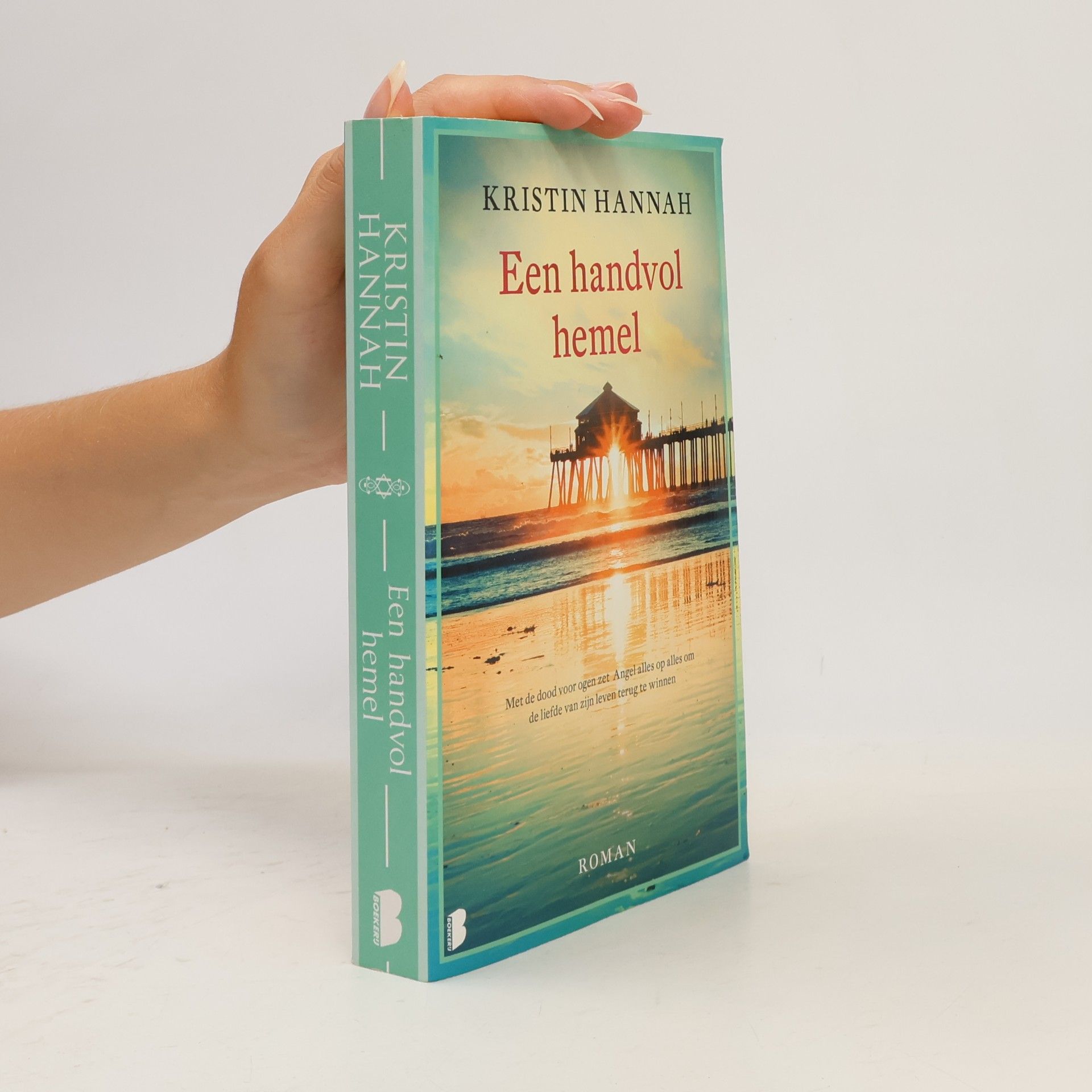 Kristin Hannah Een handvol hemel