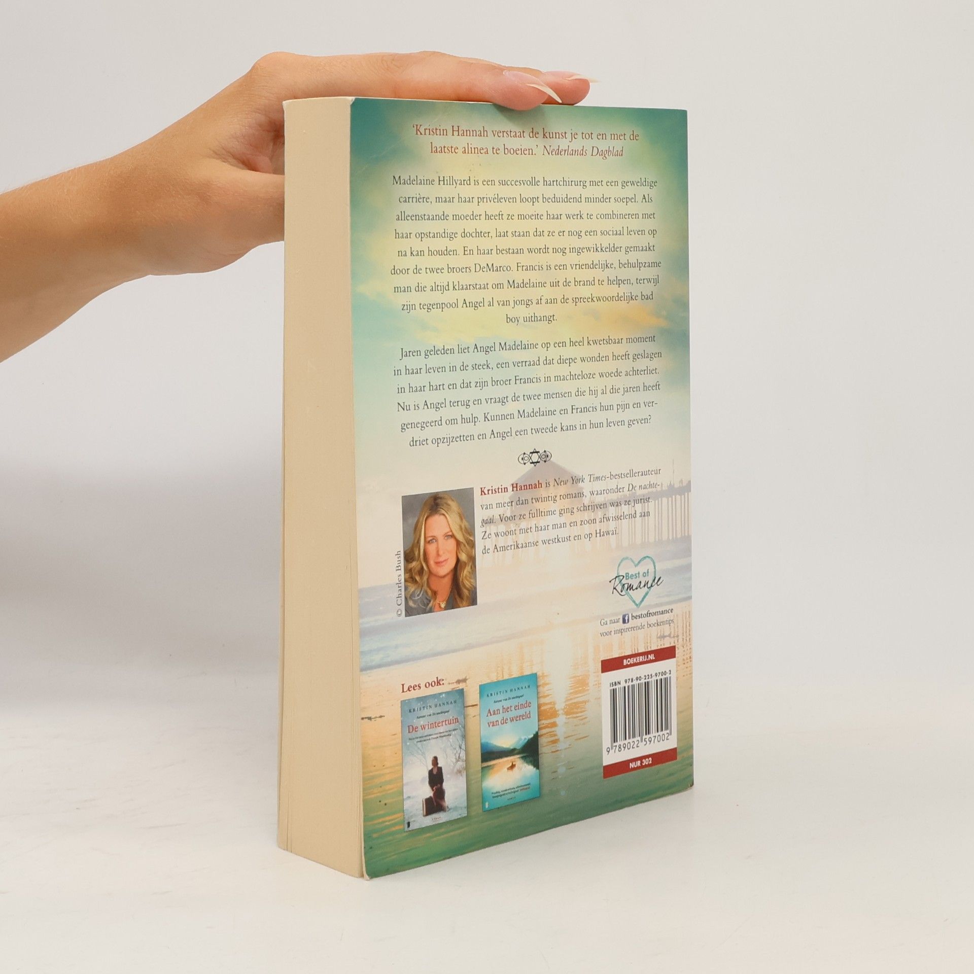 Kristin Hannah Een handvol hemel