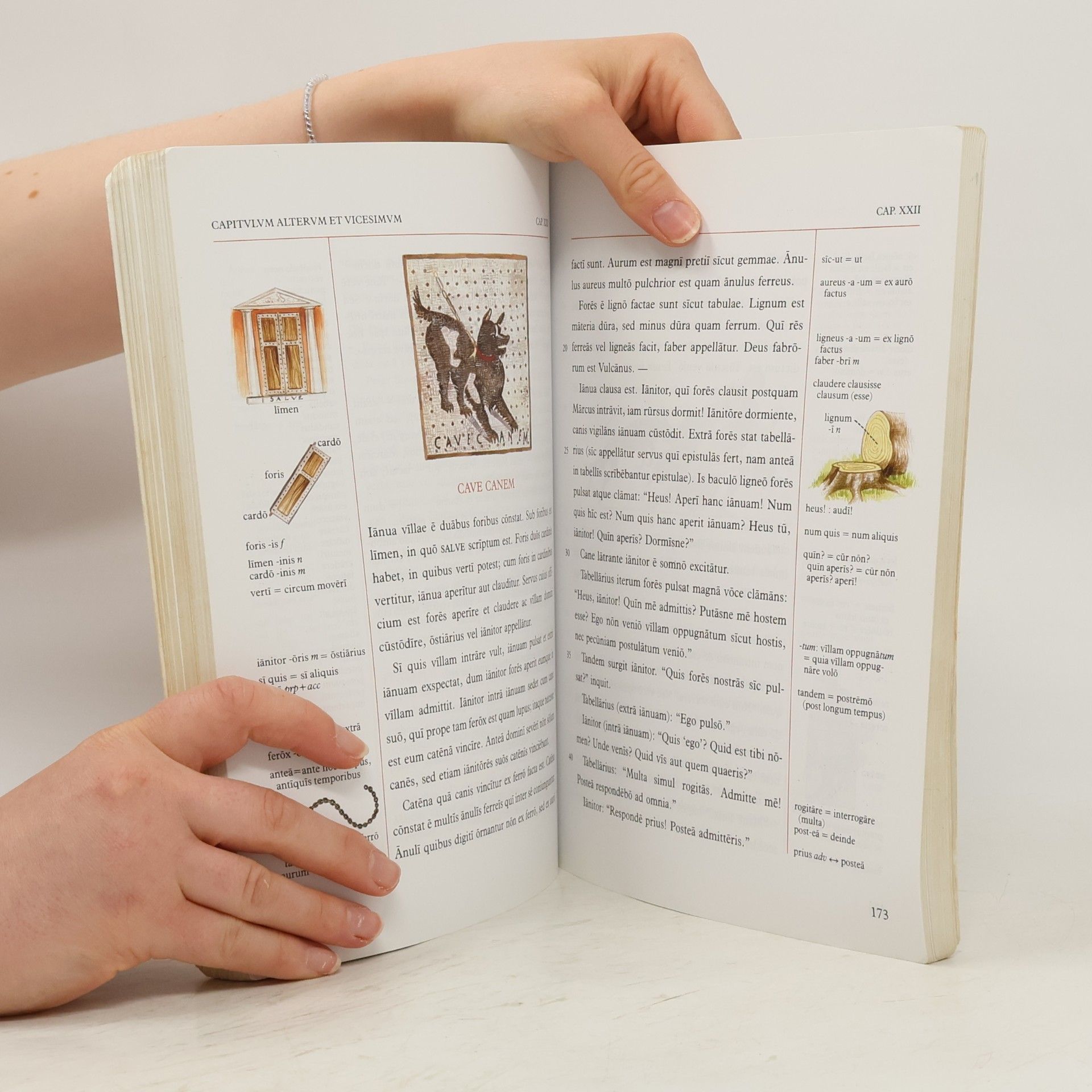 Hans Ørberg Lingua Latina per se illustrata. Pars I, Familia Romana