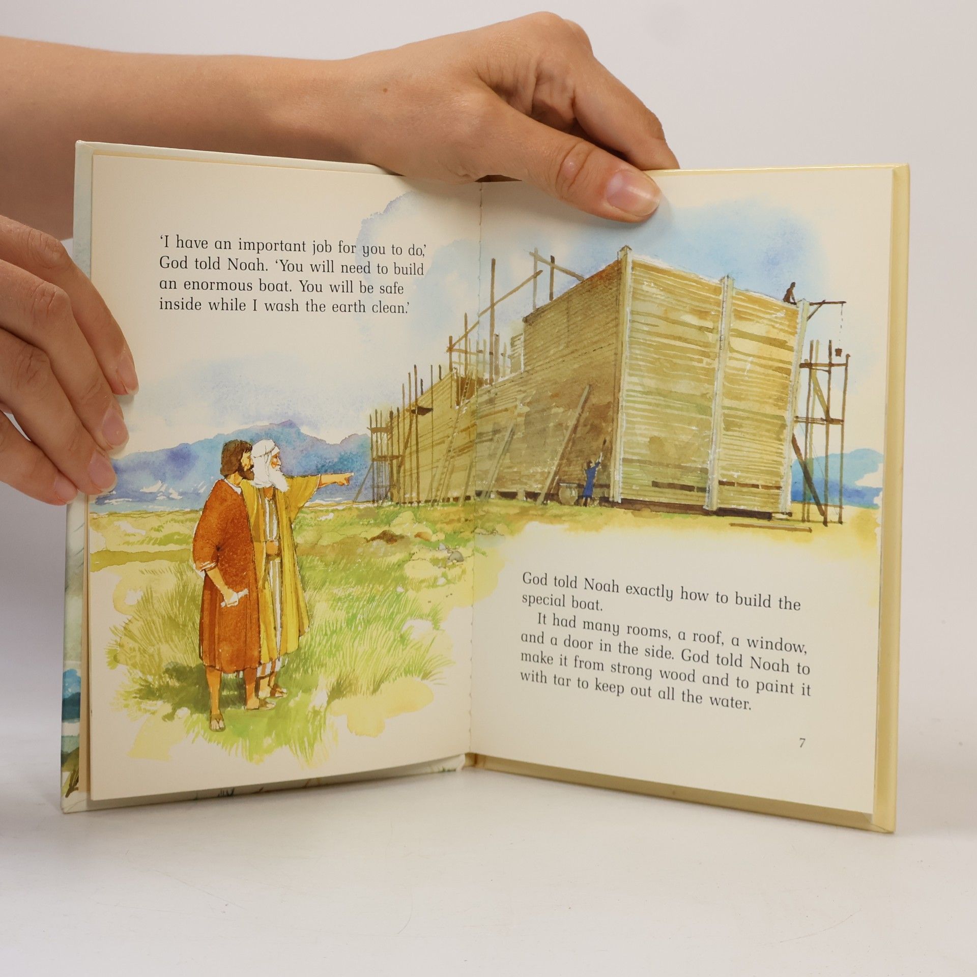 Penny Frank Noah and the Great Flood