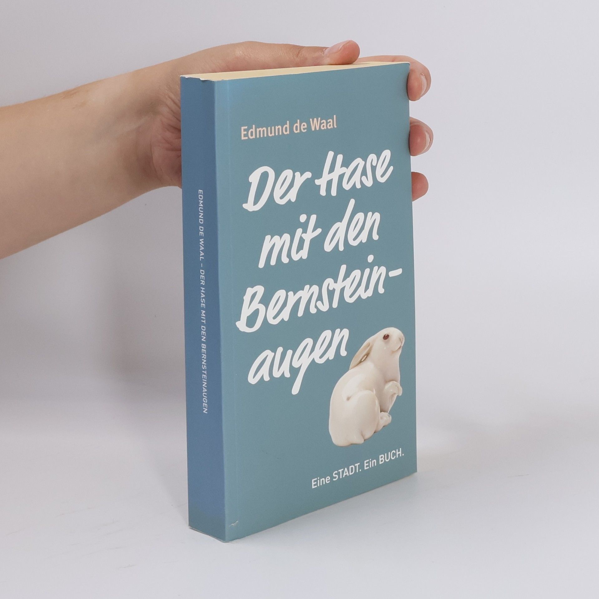 Edmund de Waal Der Hase mit den Bernsteinaugen