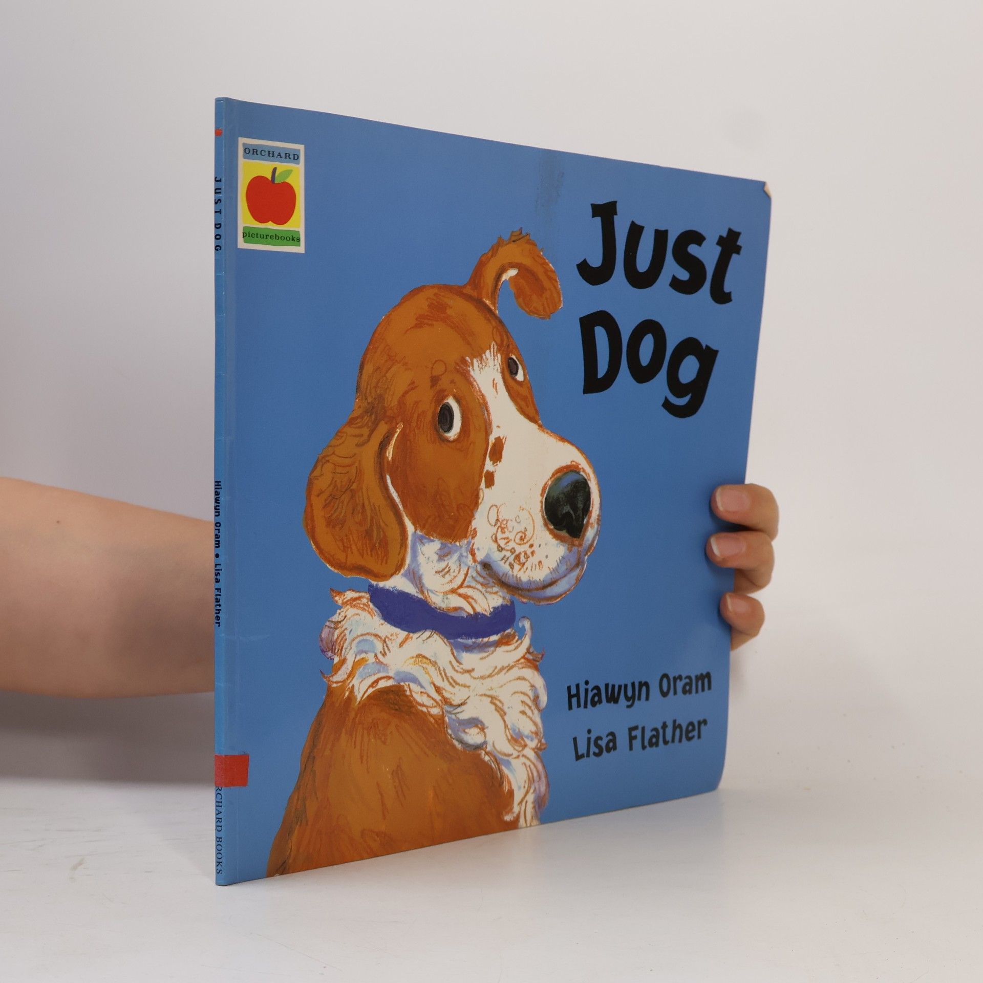 Lisa Flather Just Dog